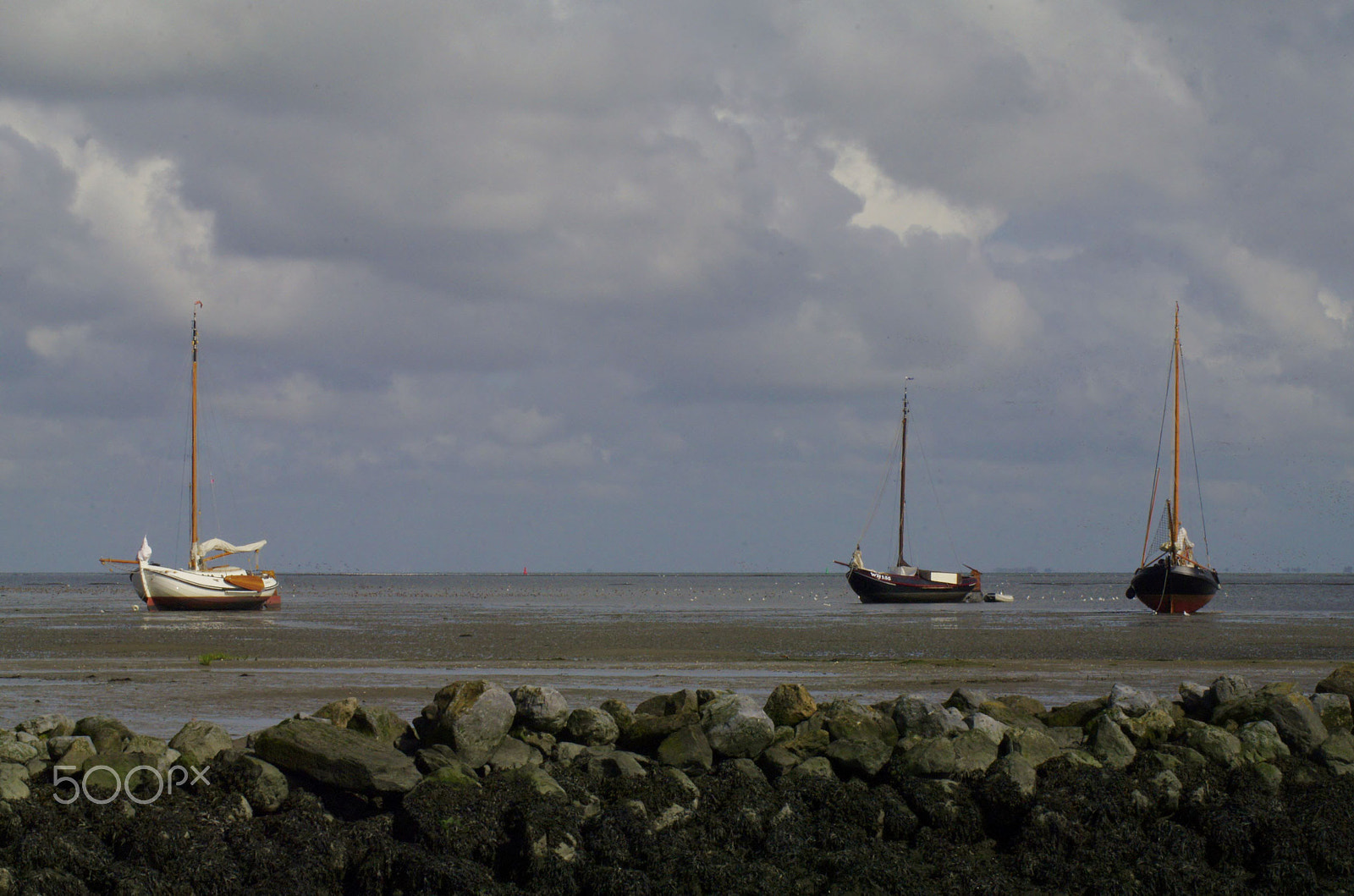 Tamron AF 70-300mm F4-5.6 Di LD Macro sample photo. Schiermonnikoog photography
