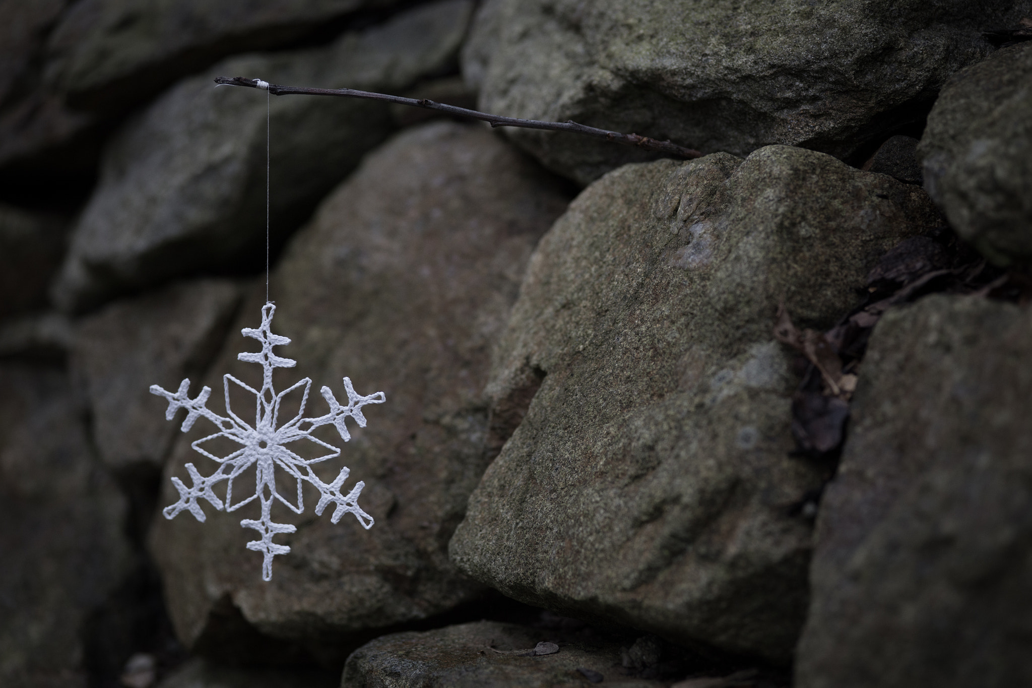 Canon EOS 6D + Sigma 105mm F2.8 EX DG Macro sample photo. Snowflake photography