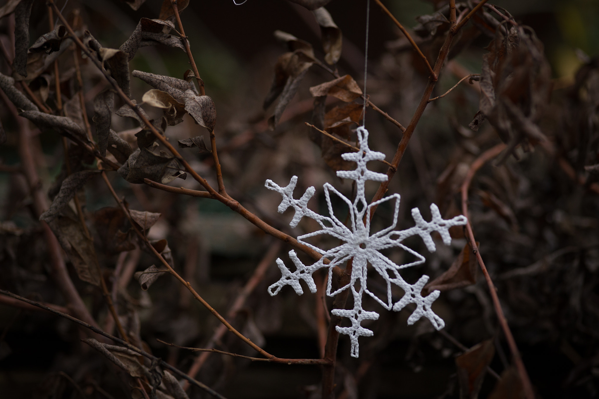 Canon EOS 6D + Sigma 105mm F2.8 EX DG Macro sample photo. Snowflake photography