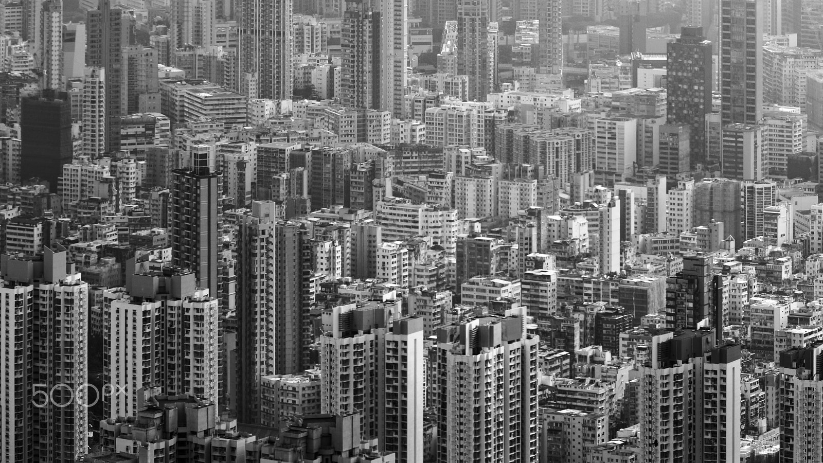 Canon EF 70-200mm F4L USM sample photo. Concrete jungle photography