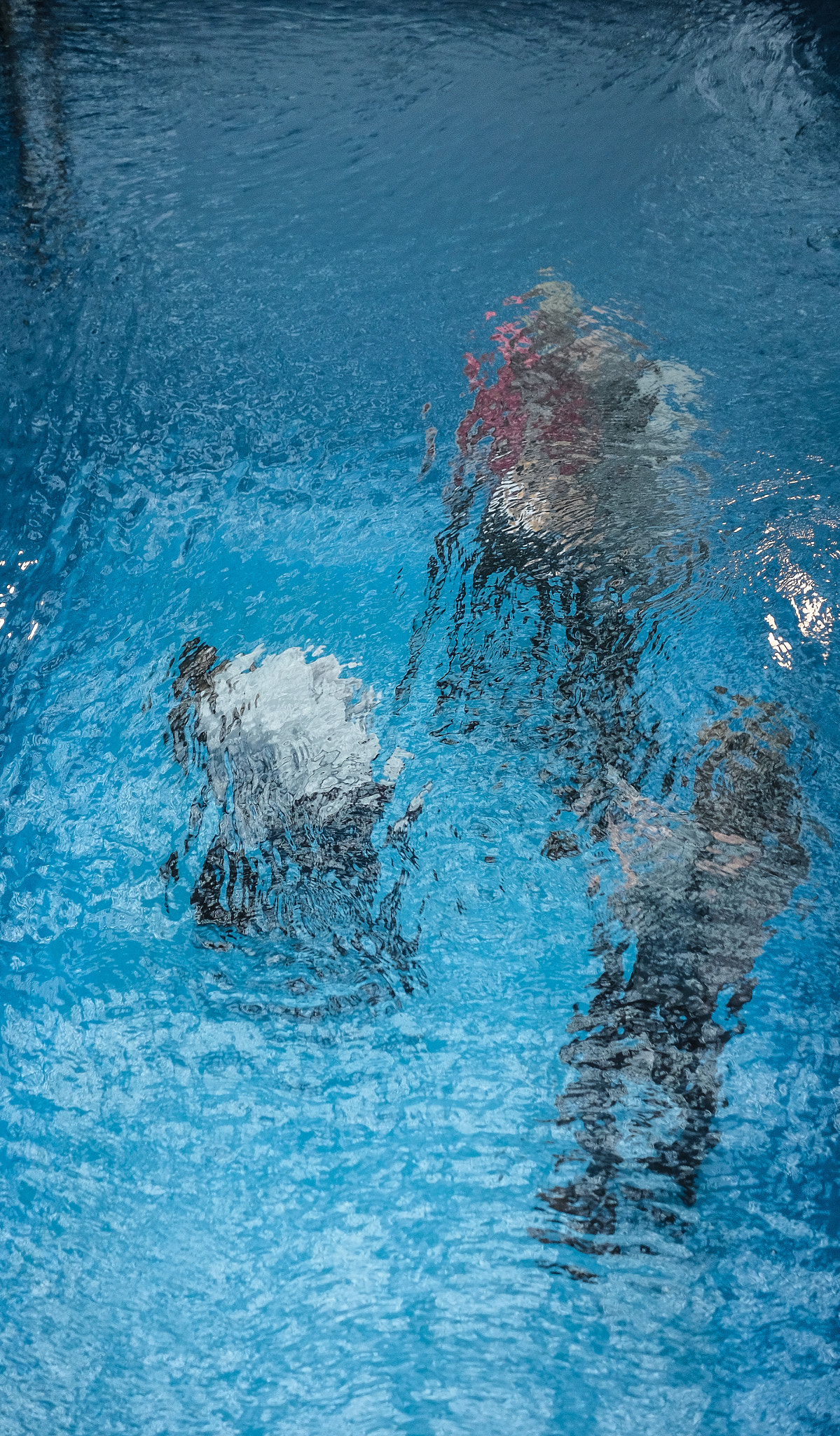 Fujifilm X-T1 + Fujifilm XF 27mm F2.8 sample photo. Voorlinden underwater photography
