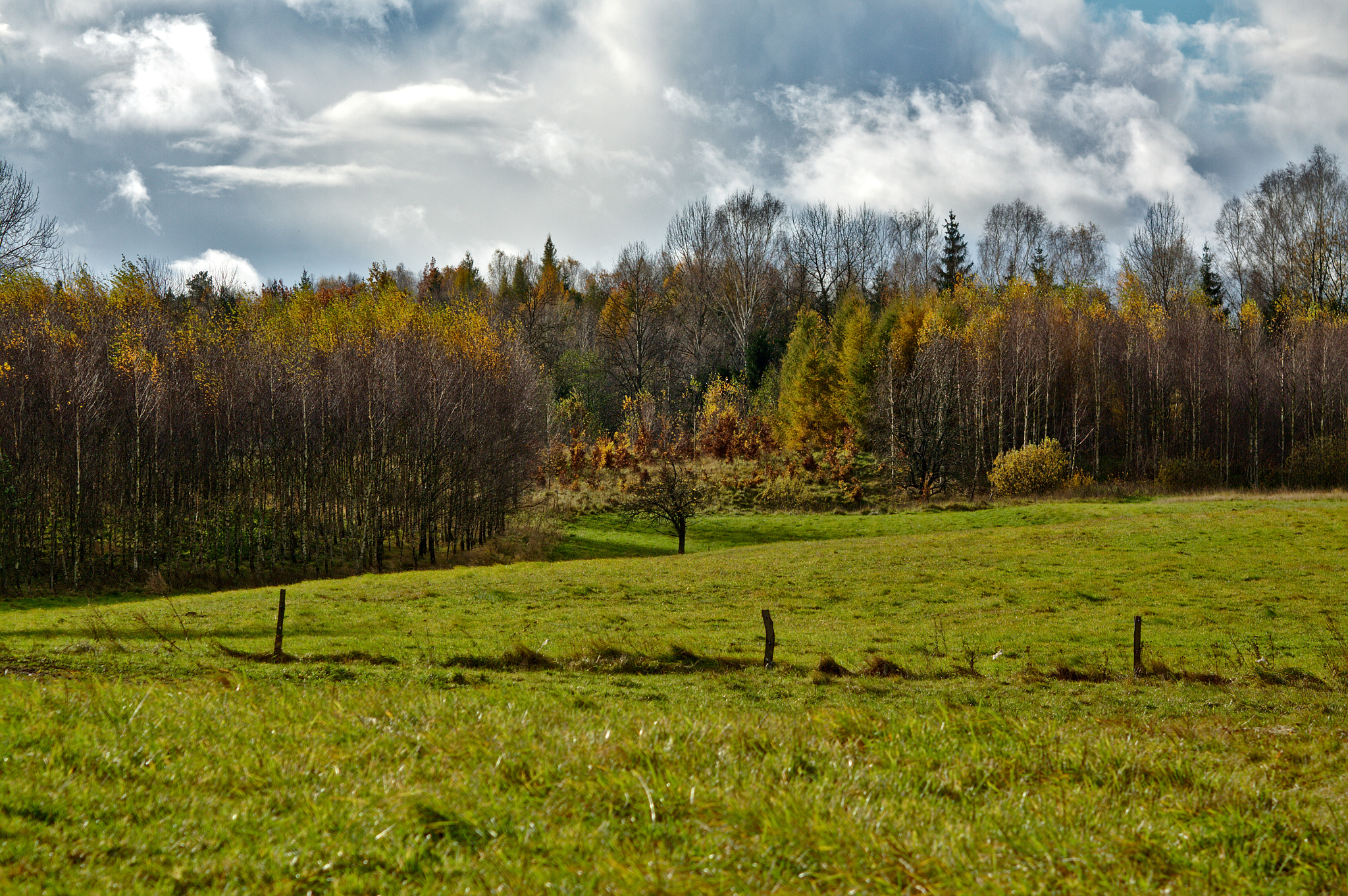 Canon EF 35-80mm f/4-5.6 sample photo