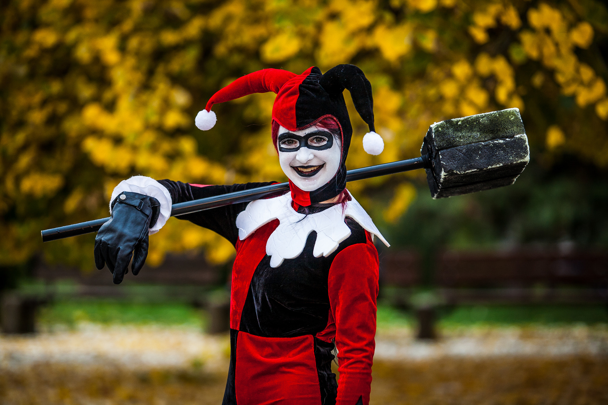 Canon EF 70-200mm F2.8L USM sample photo. Harley quinn and joker photography