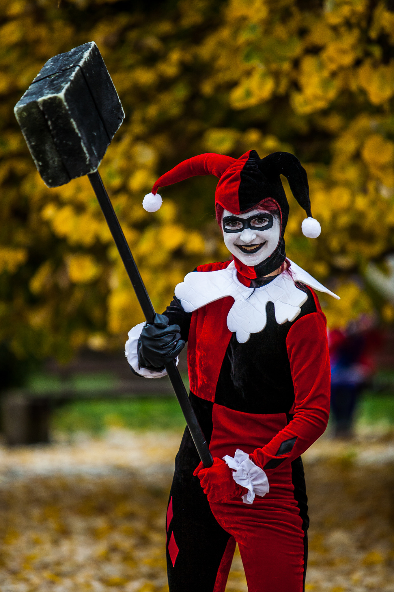 Canon EF 70-200mm F2.8L USM sample photo. Harley quinn and joker photography