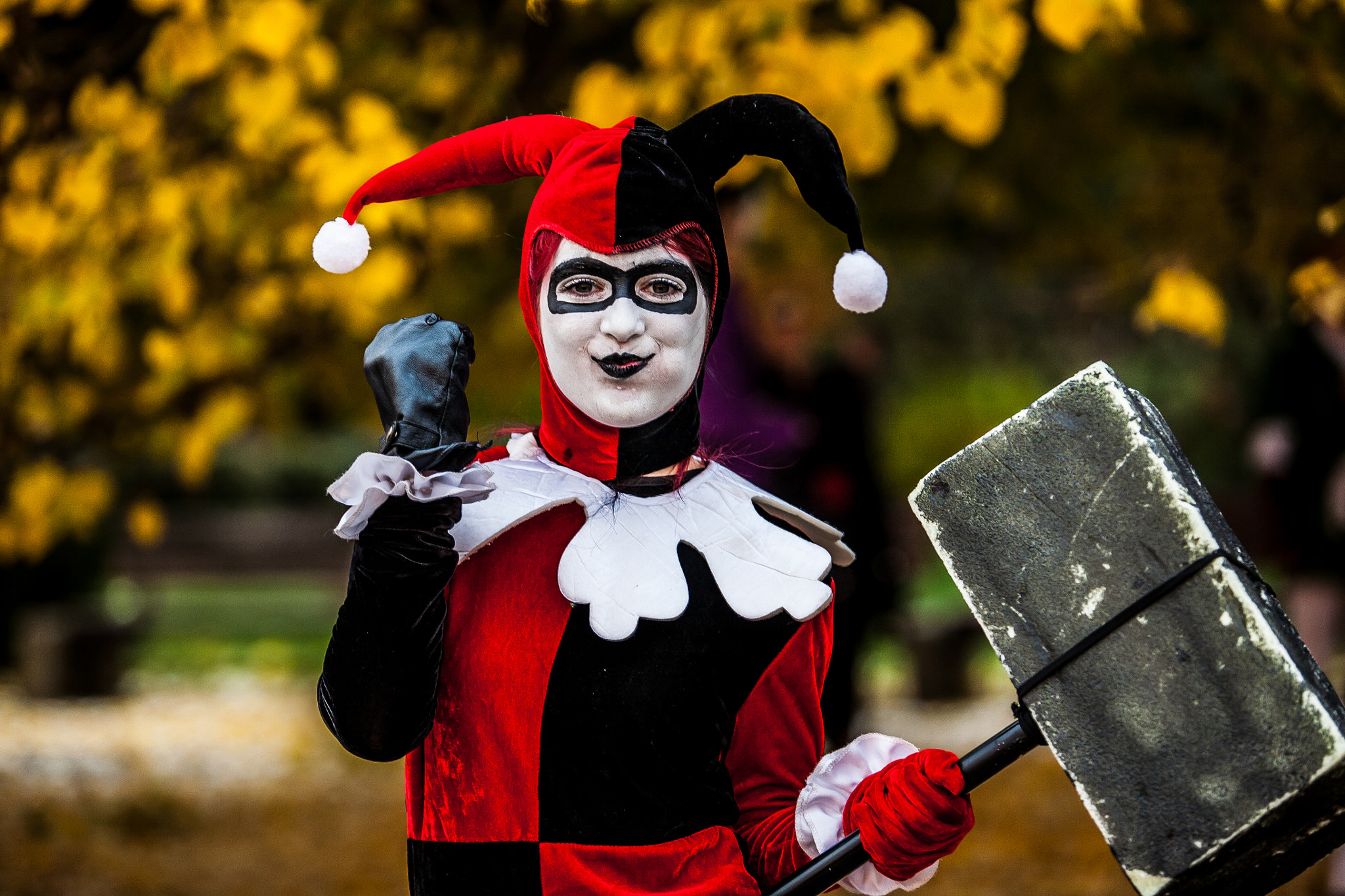 Canon EF 70-200mm F2.8L USM sample photo. Harley quinn and joker photography