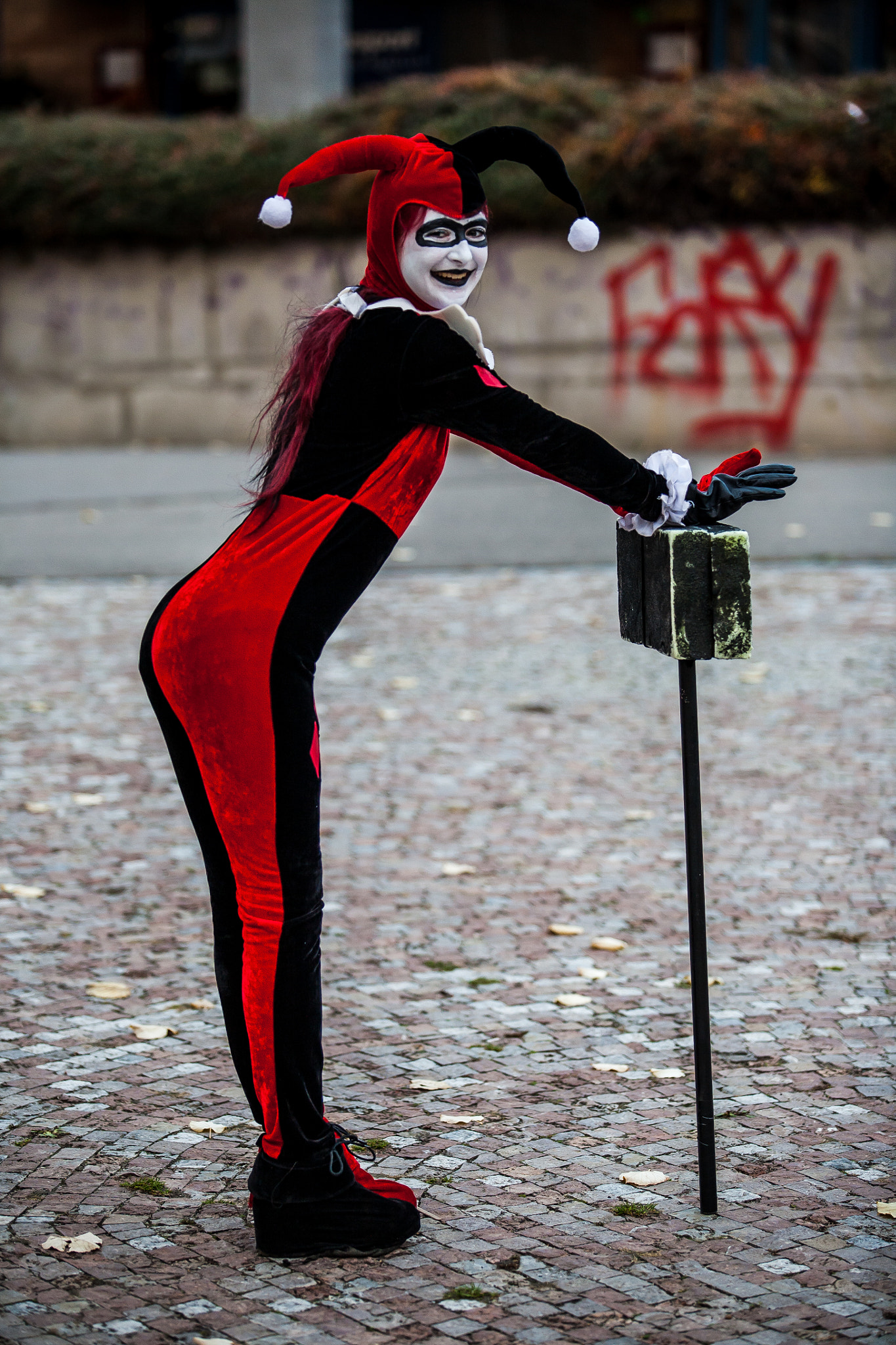 Canon EF 70-200mm F2.8L USM sample photo. Harley quinn and joker photography