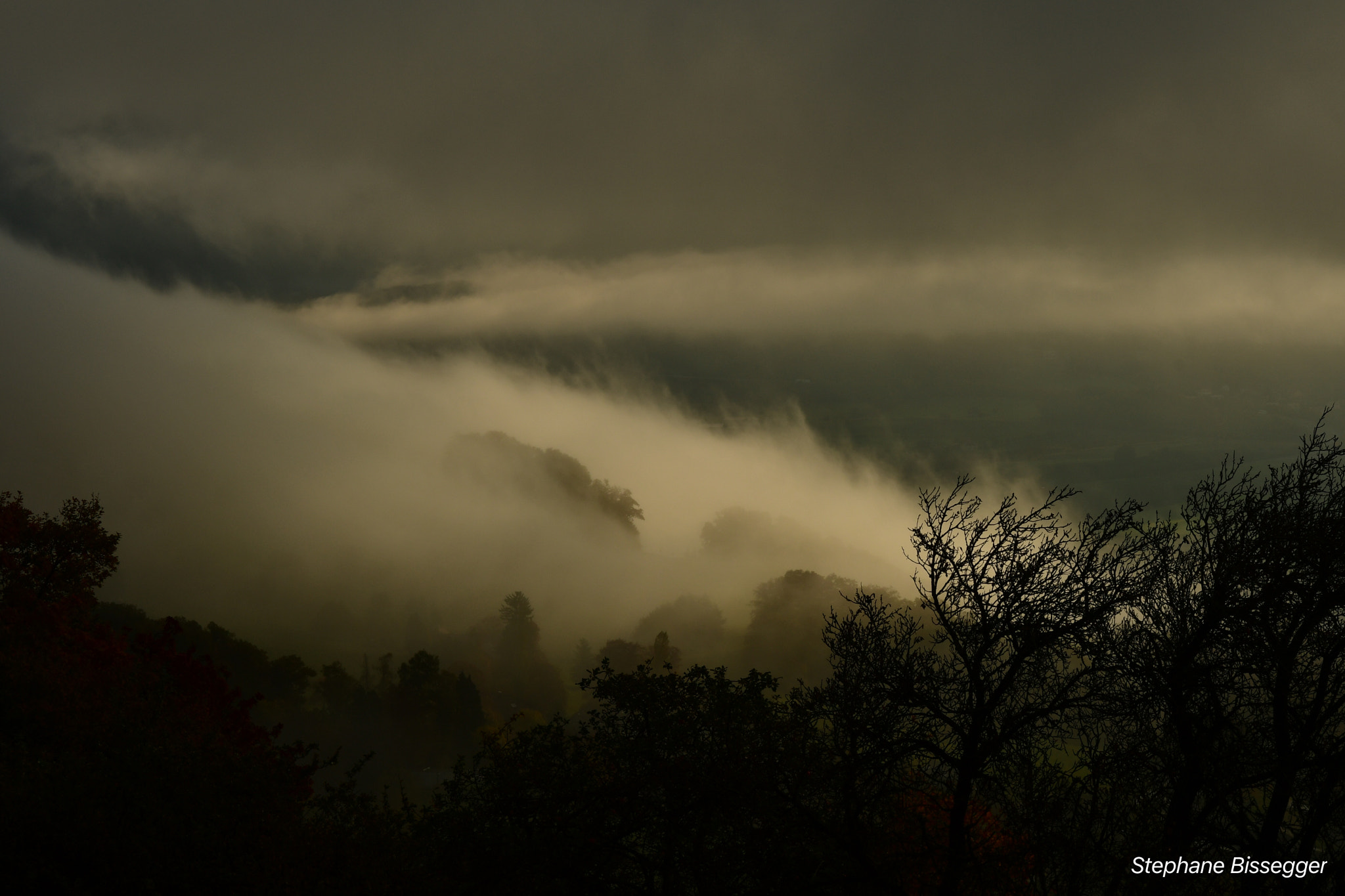 Nikon D500 sample photo