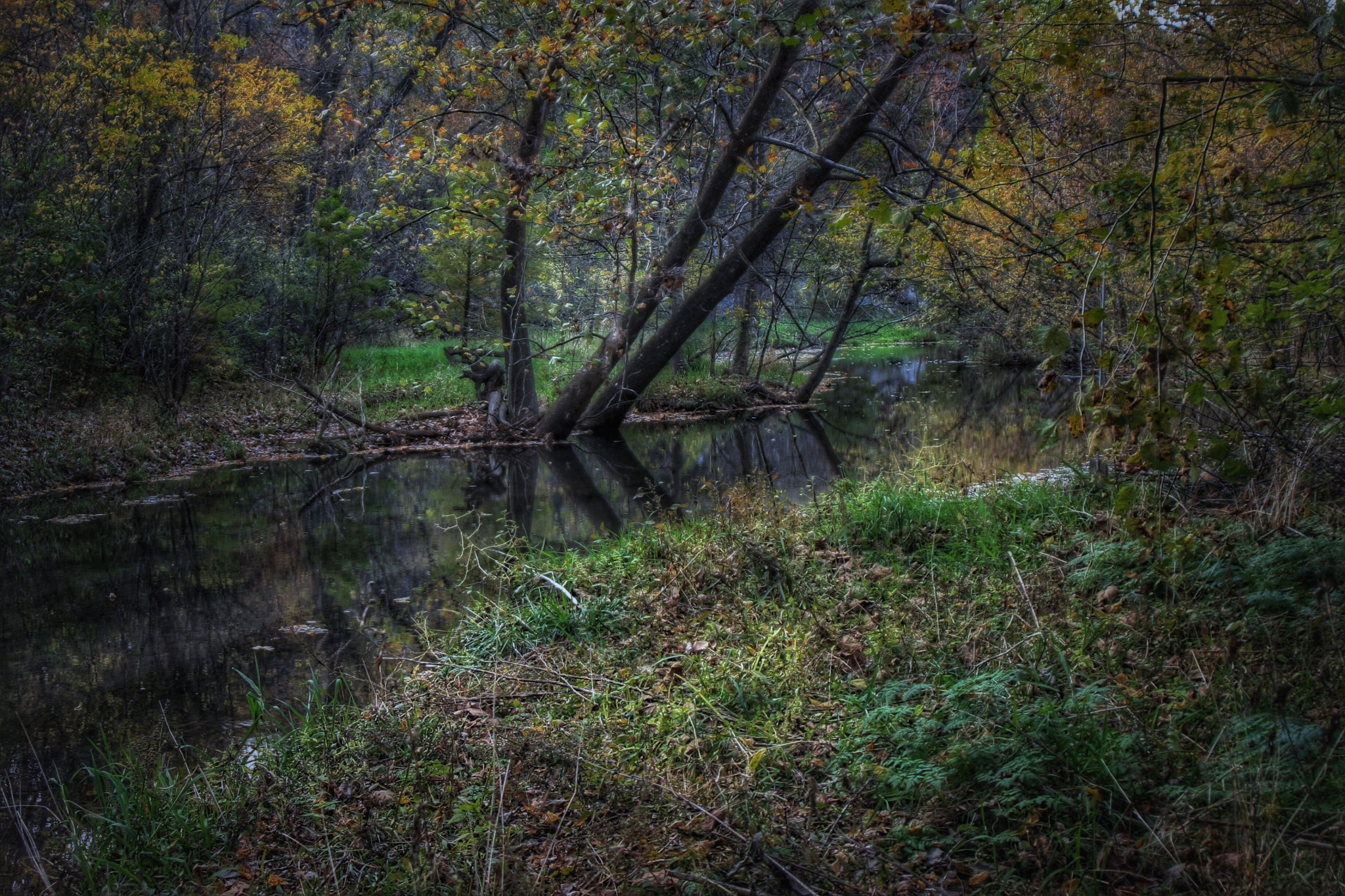 Tamron AF 28-200mm F3.8-5.6 XR Di Aspherical (IF) Macro sample photo. Autumn stream photography