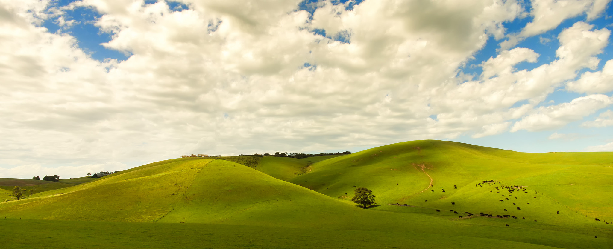 ZEISS Touit 12mm F2.8 sample photo. Rural photography