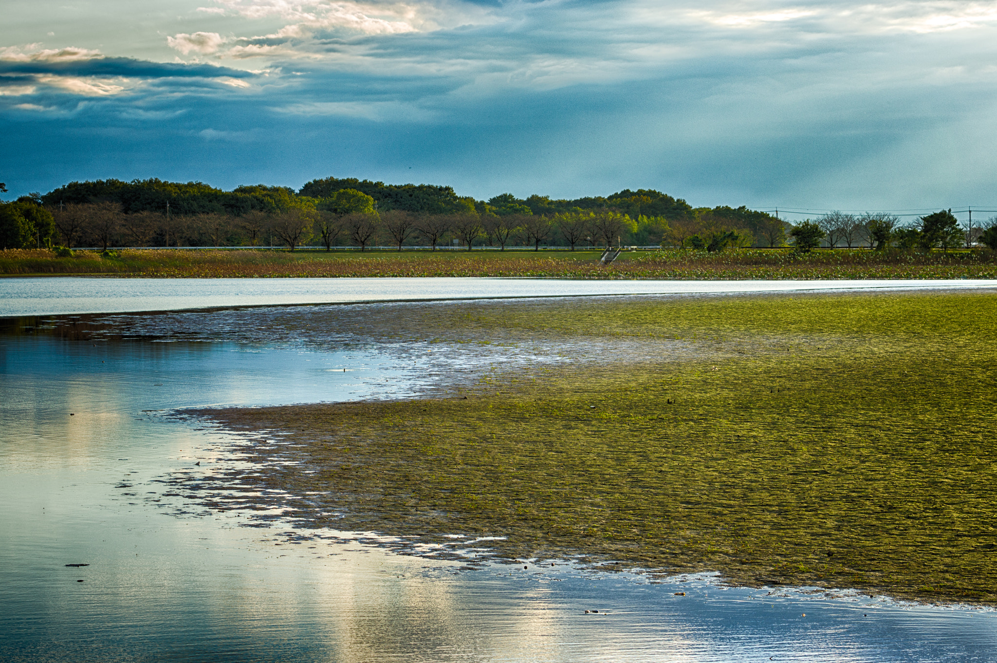 Pentax K-3 sample photo. ** photography