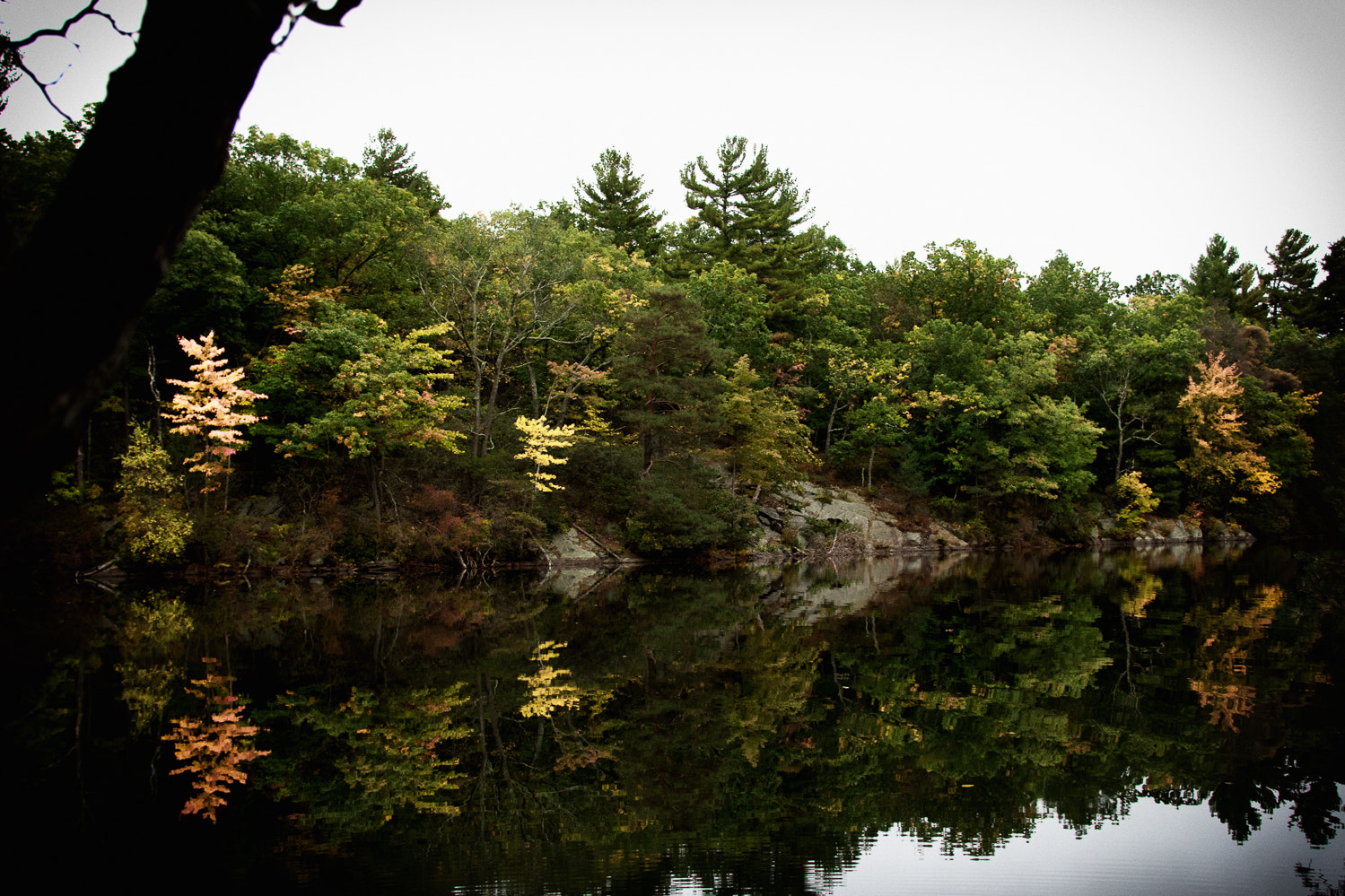 Nikon D7200 + Nikon AF-S Nikkor 24-120mm F4G ED VR sample photo. Tranquil waters photography