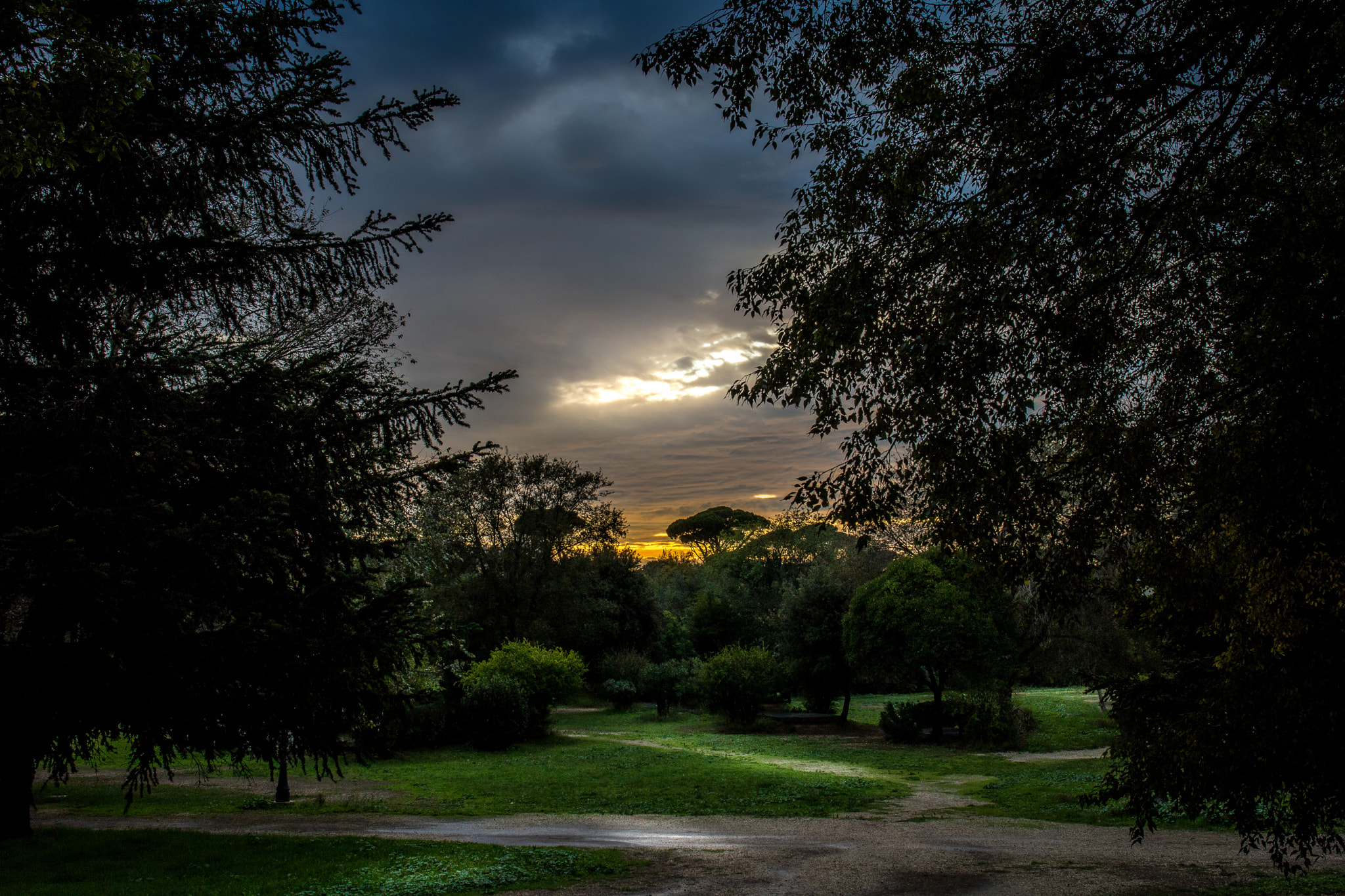 Canon EOS 760D (EOS Rebel T6s / EOS 8000D) sample photo. Roma sunset by park photography