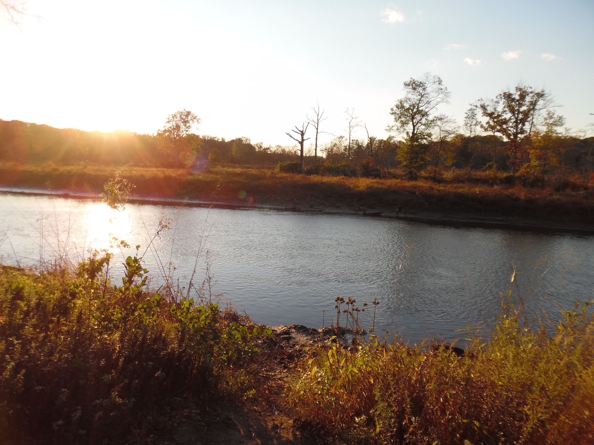 Samsung WB35F/WB36F/WB37F sample photo