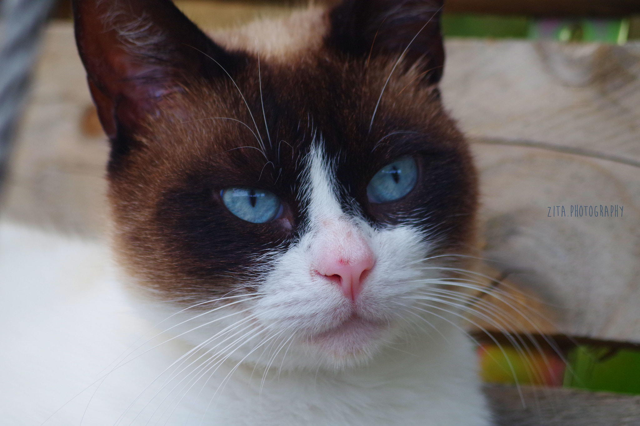 smc Pentax-DA L 50-200mm F4-5.6 ED WR sample photo. "chuva" photography