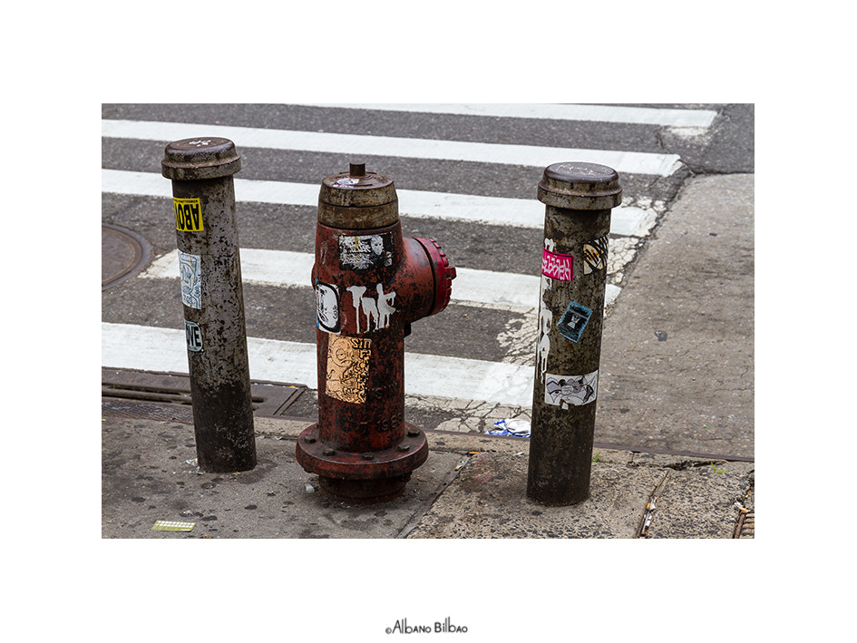 Canon EF 24-70mm F4L IS USM sample photo. Street photography