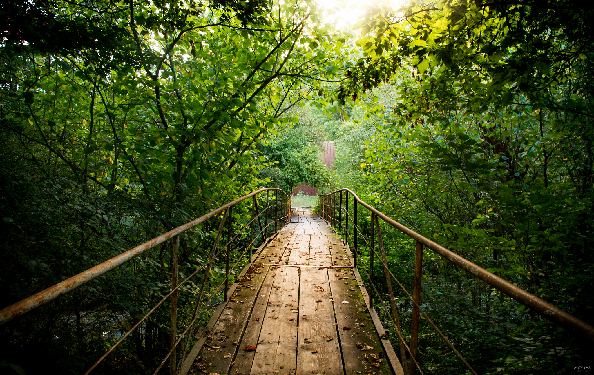 Sony SLT-A35 sample photo. Bridge photography