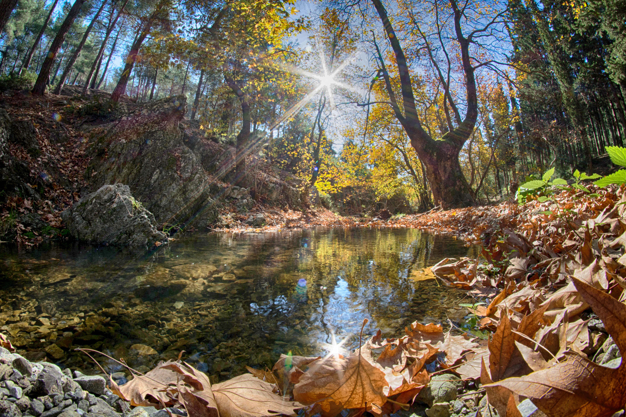 Nikon D5200 + Samyang 8mm F3.5 Aspherical IF MC Fisheye sample photo. Platanakia thessaloniki photography