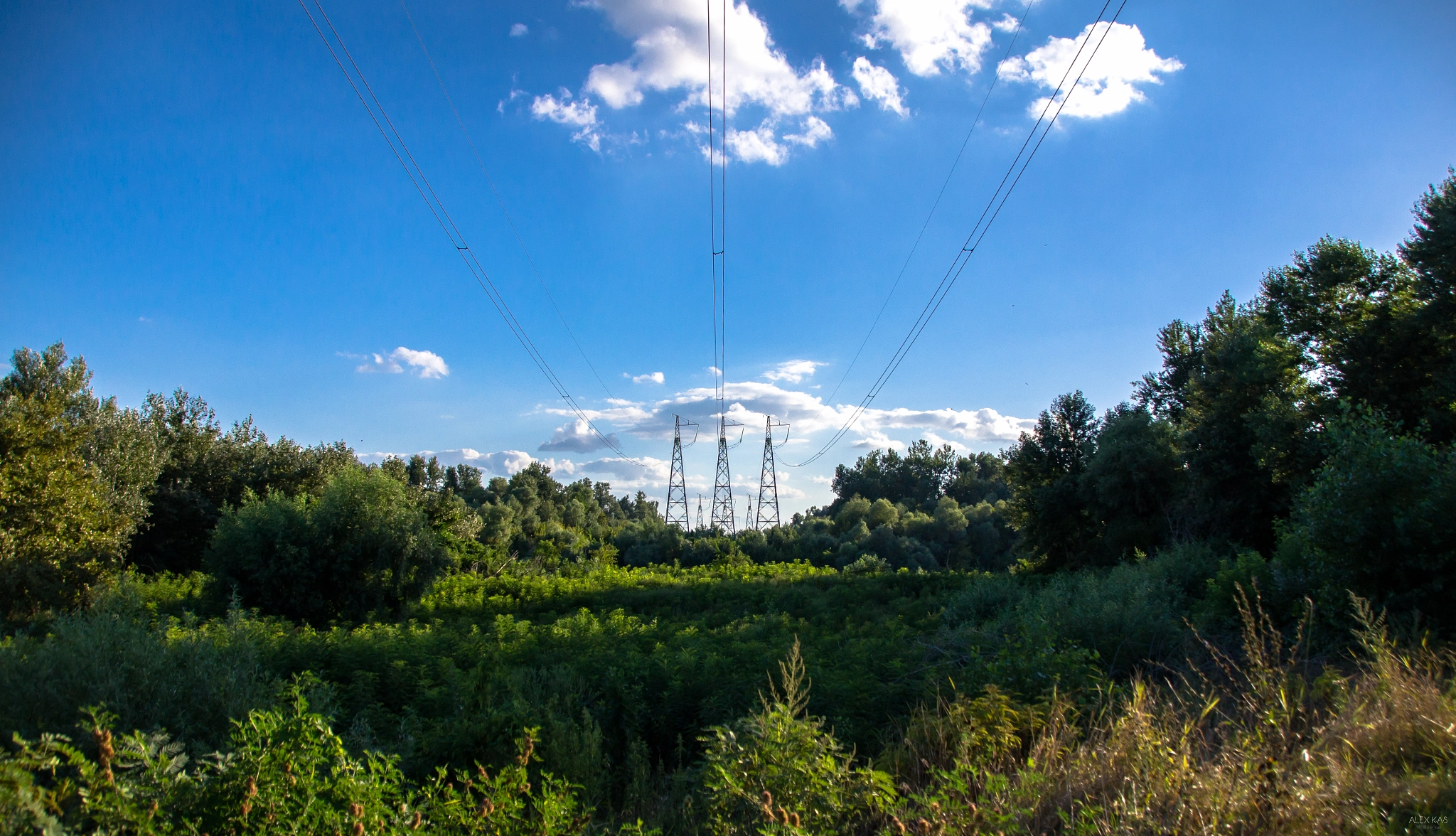 Sony SLT-A35 sample photo. Power lines photography