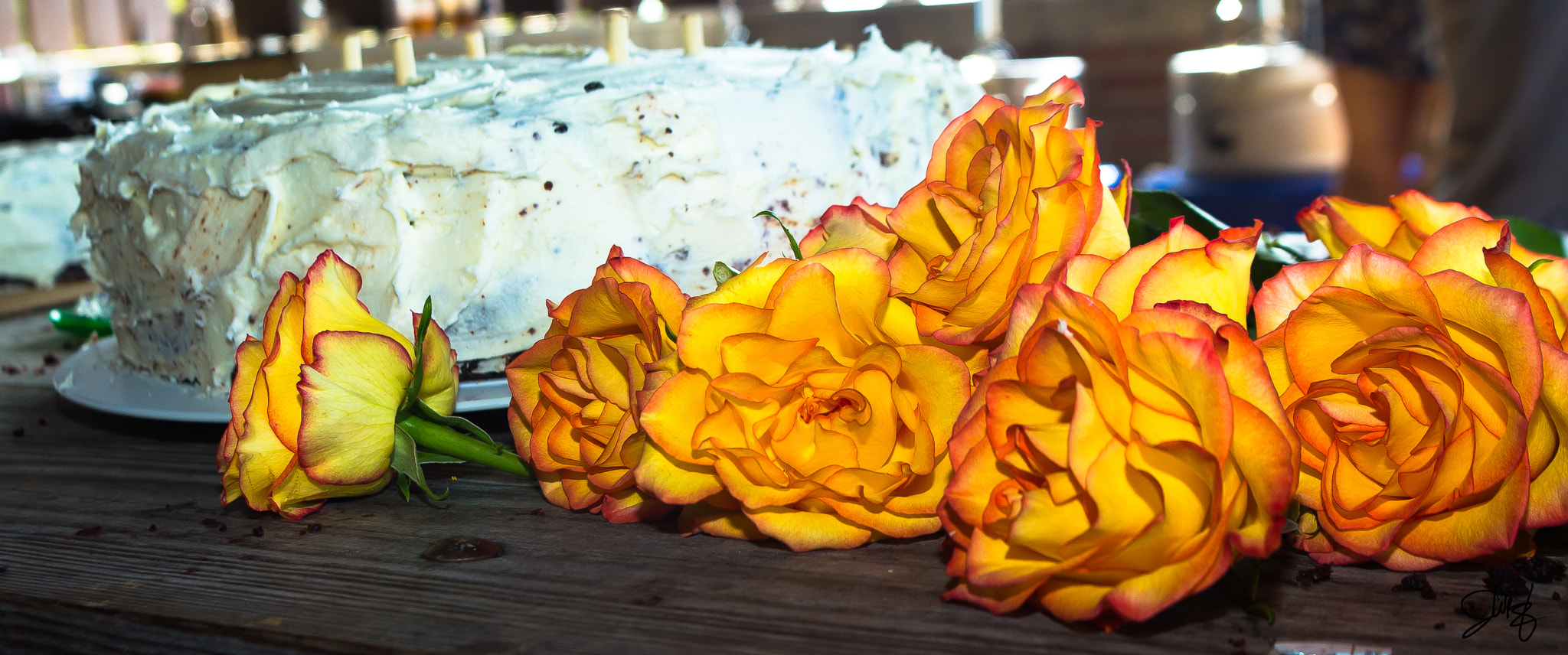 Canon EF 20-35mm f/2.8L sample photo. Img photography