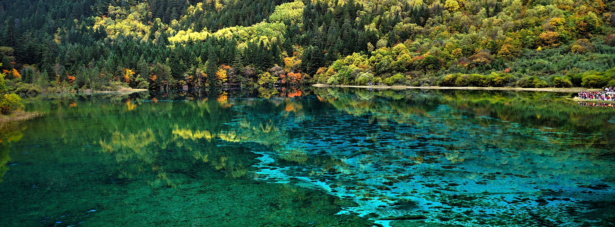 Sony a7R + Sony 0mm F0.0 sample photo. It's autumn...... photography