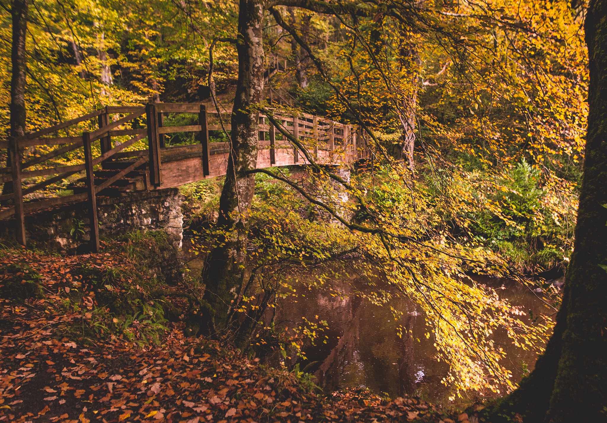 Canon EOS 5D sample photo. Autumn by the bridge photography