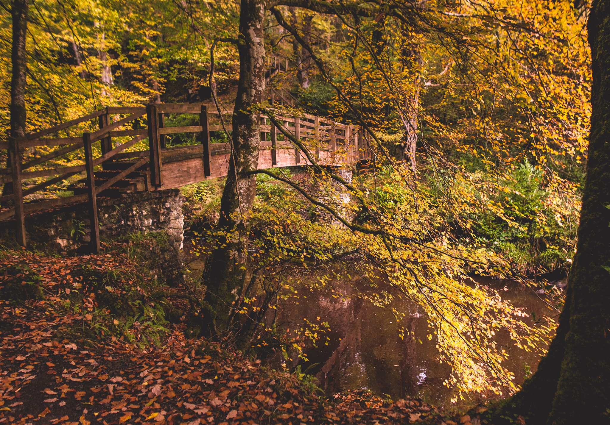 Sigma 28mm f/1.8 DG Macro EX sample photo. Autumn by the bridge photography