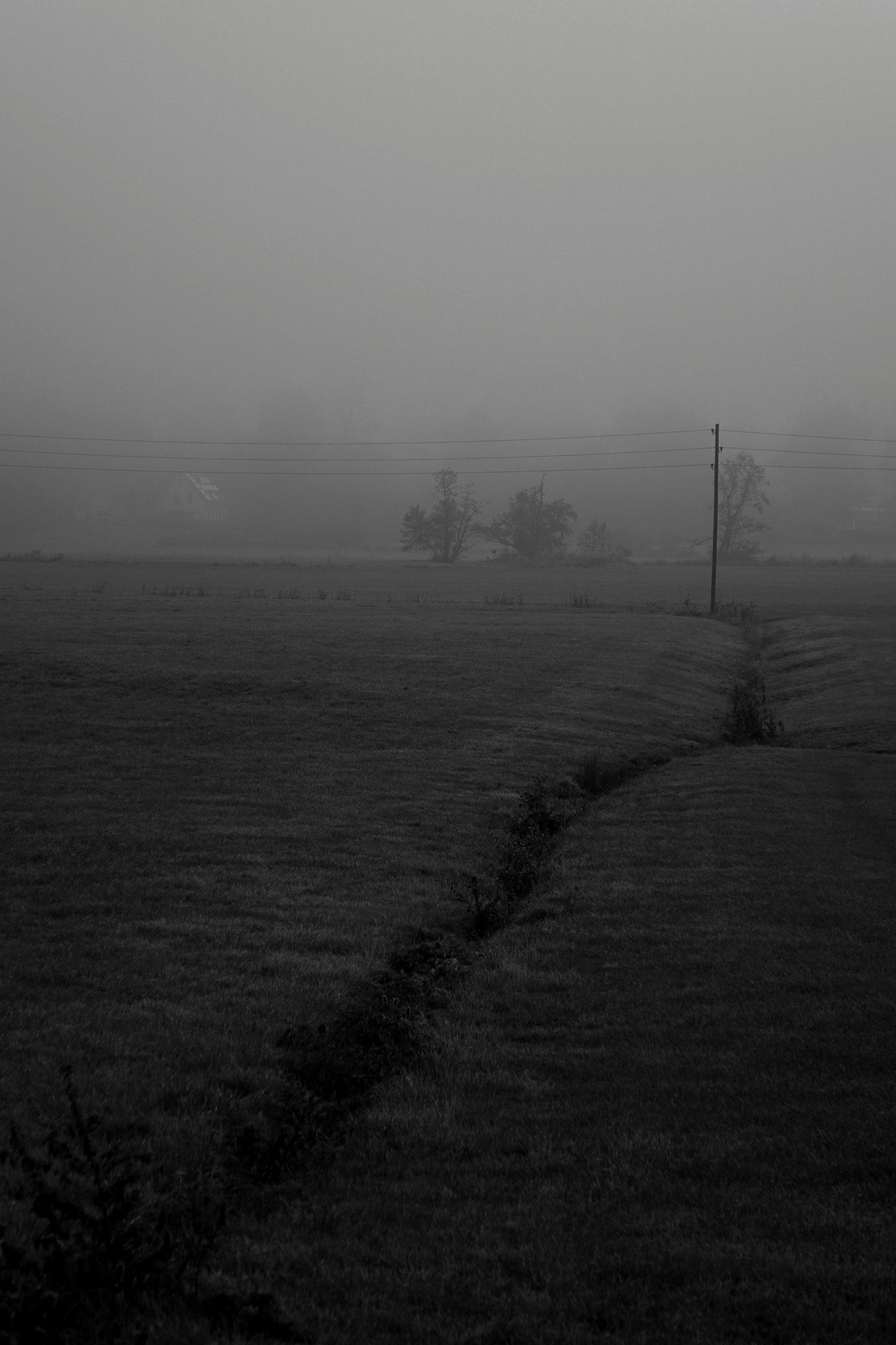 Sony Cyber-shot DSC-RX10 + Sony 24-200mm F2.8 sample photo. Sunday morning photography