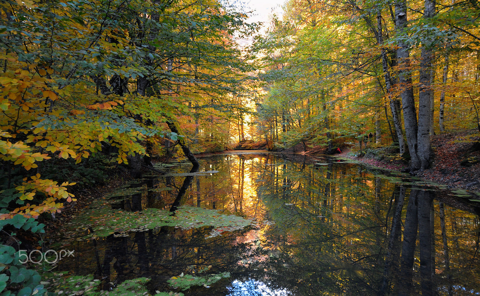 Sigma 10-20mm F4-5.6 EX DC HSM sample photo. Autumn in the lake photography