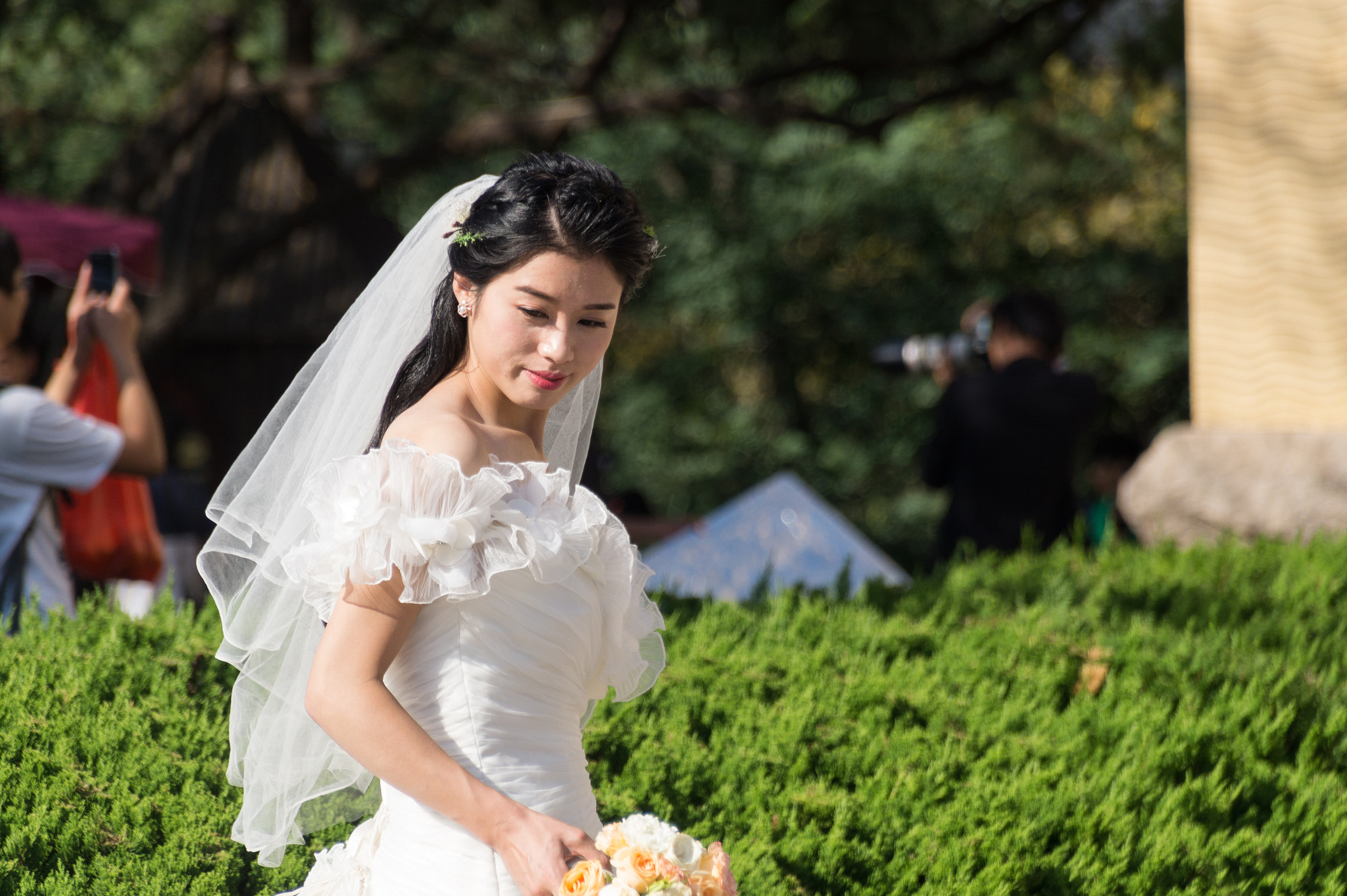 Sigma 18-250mm F3.5-6.3 DC OS HSM sample photo. Cn - beauty photography
