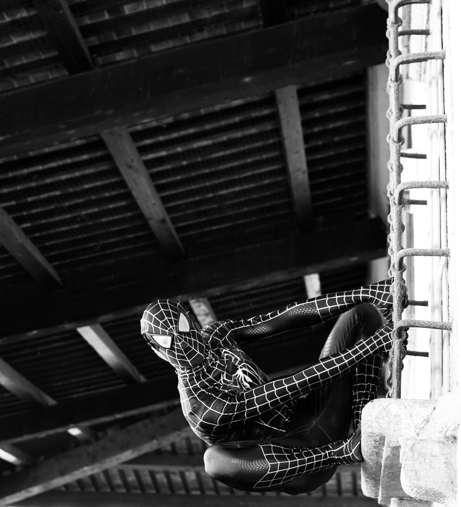 Nikon D60 + Nikon AF-S DX Nikkor 35mm F1.8G sample photo. Spider-man photography