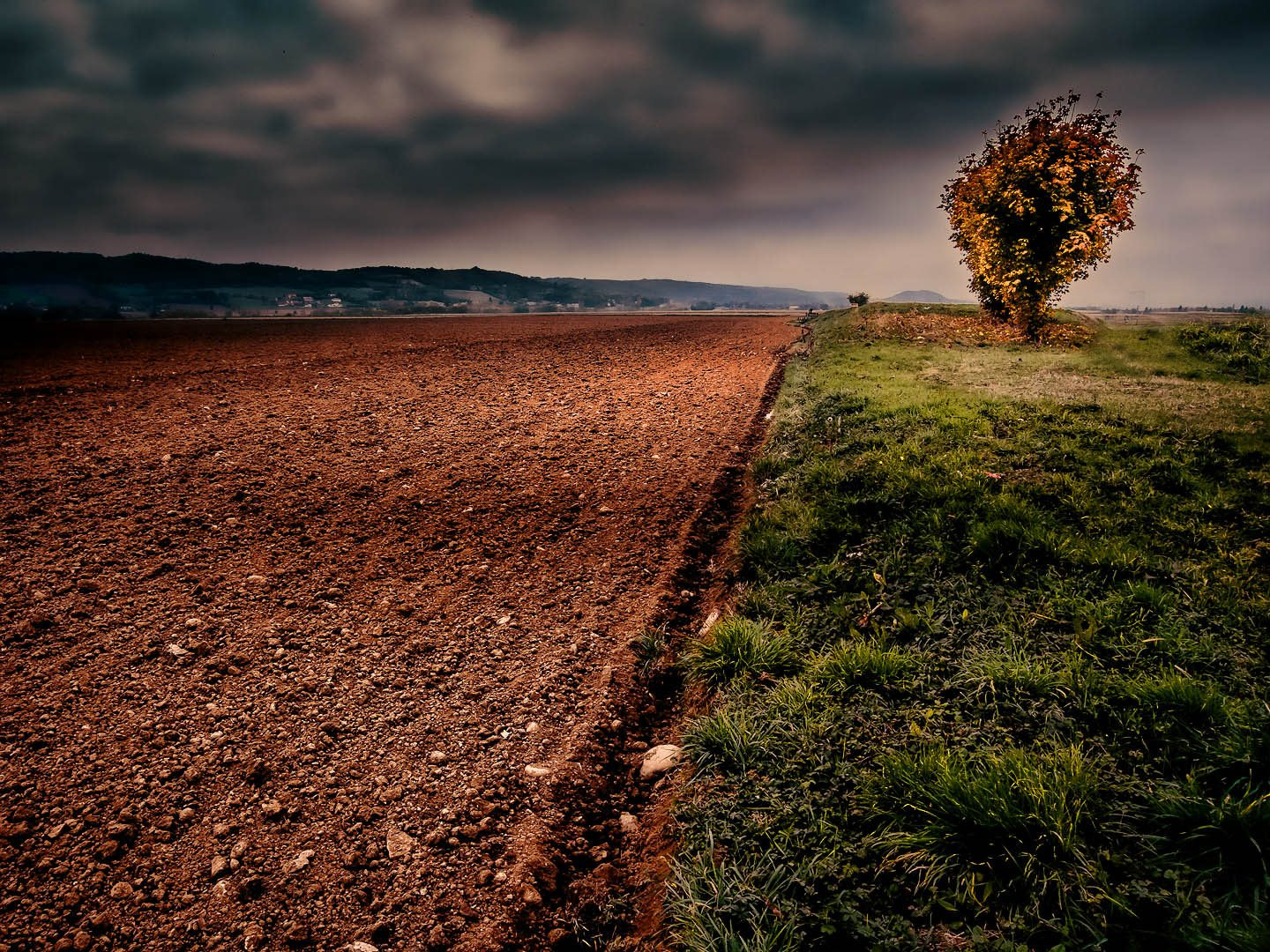 Ricoh GX200 sample photo. Autumn plowing photography