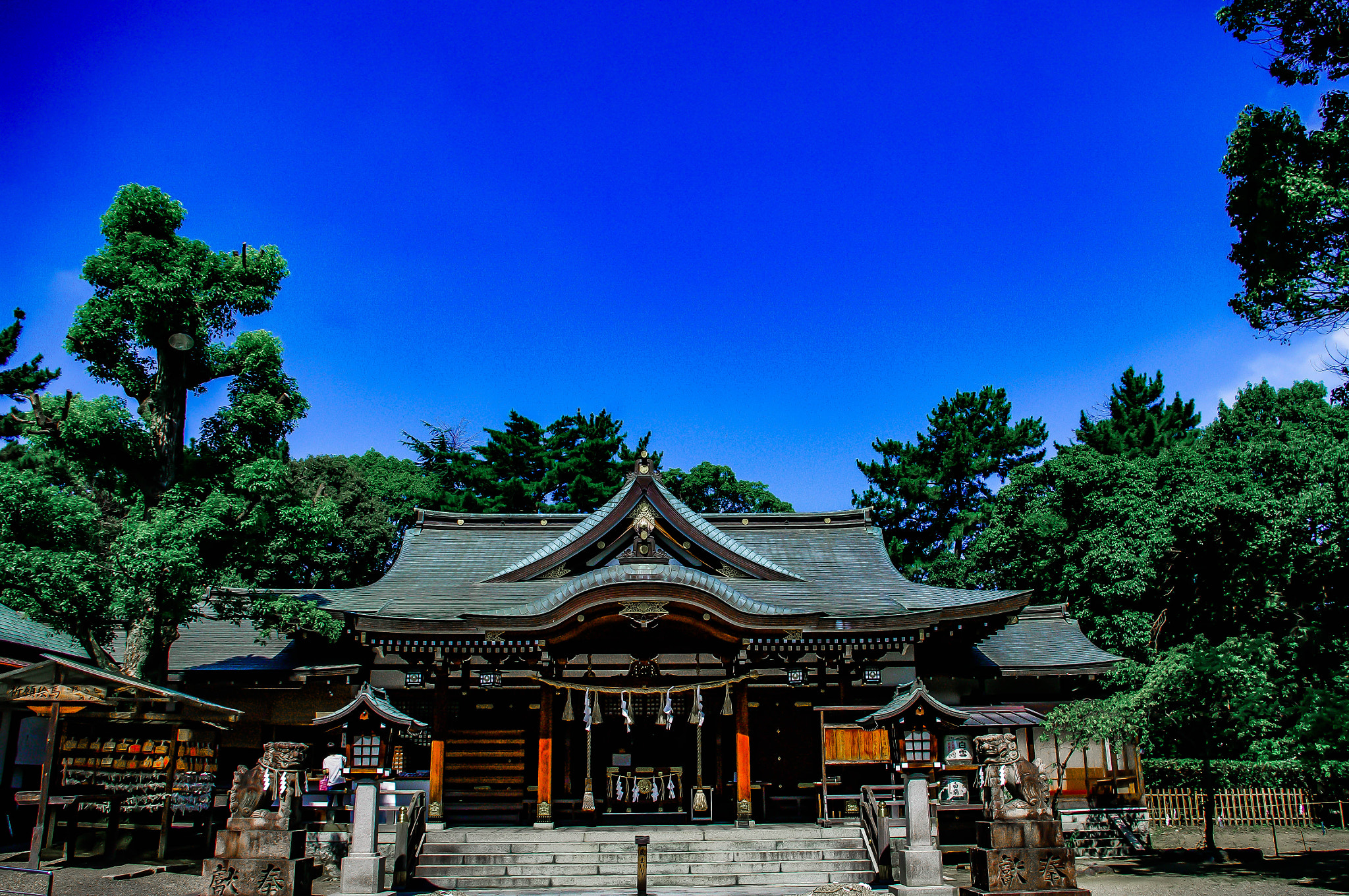 Pentax K20D sample photo