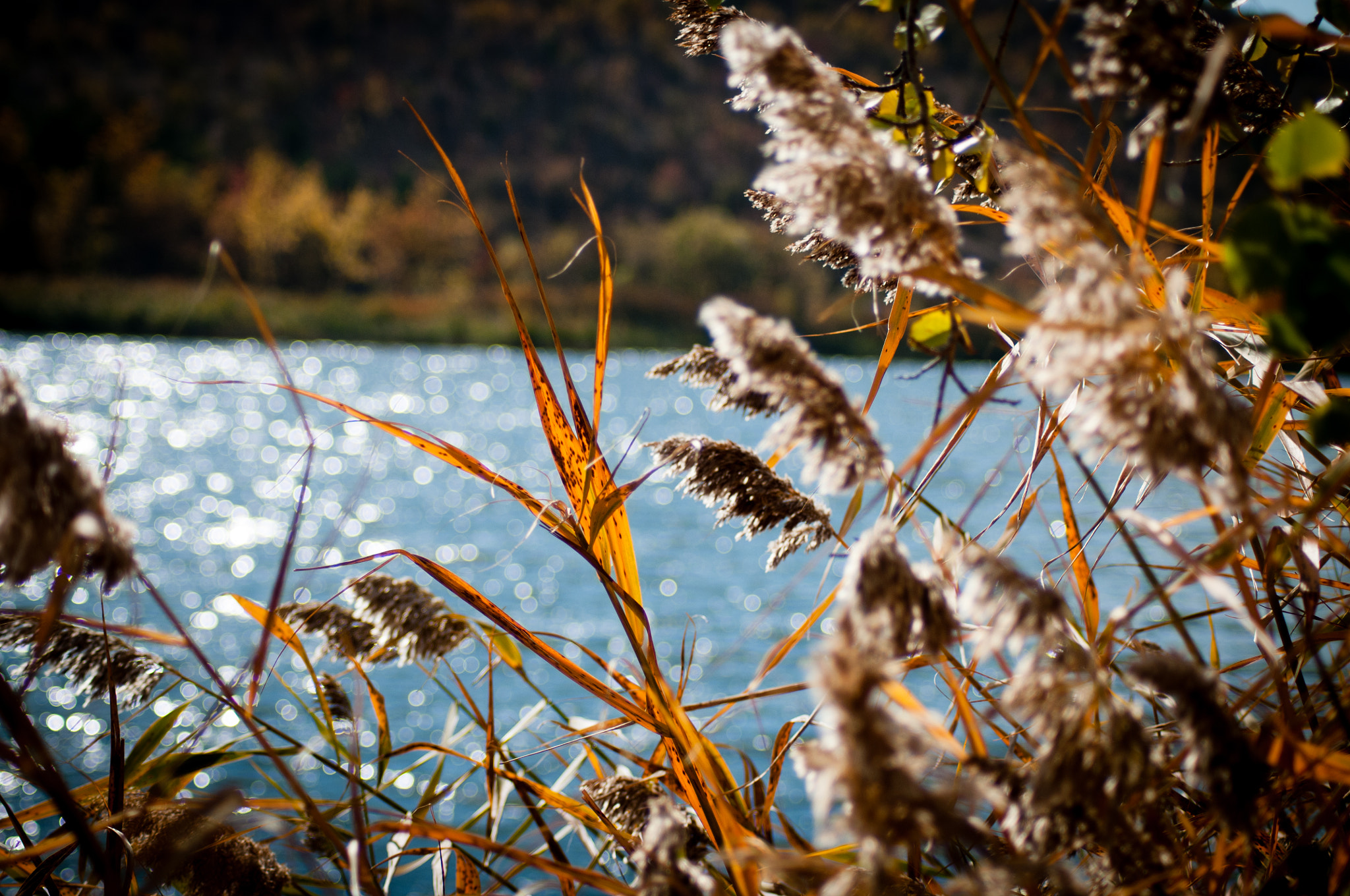 Nikon D300S sample photo. Eymir photography