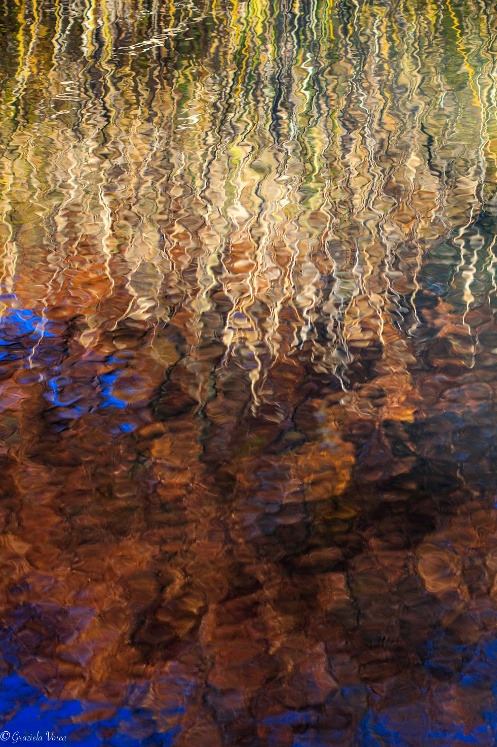 Canon EF 100mm F2.8 Macro USM sample photo. Monet reflections photography