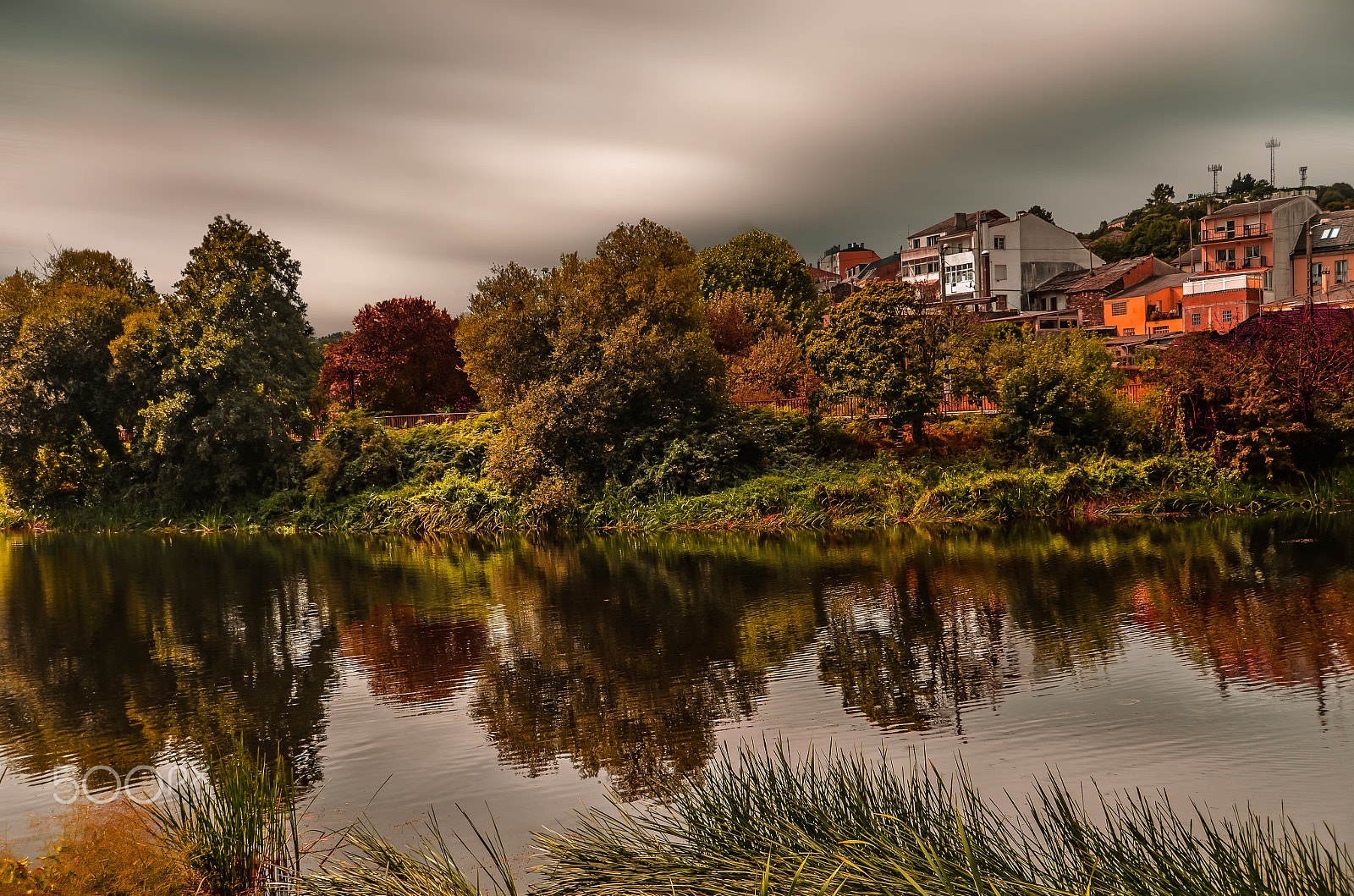 Nikon D7000 sample photo. An autumn day photography