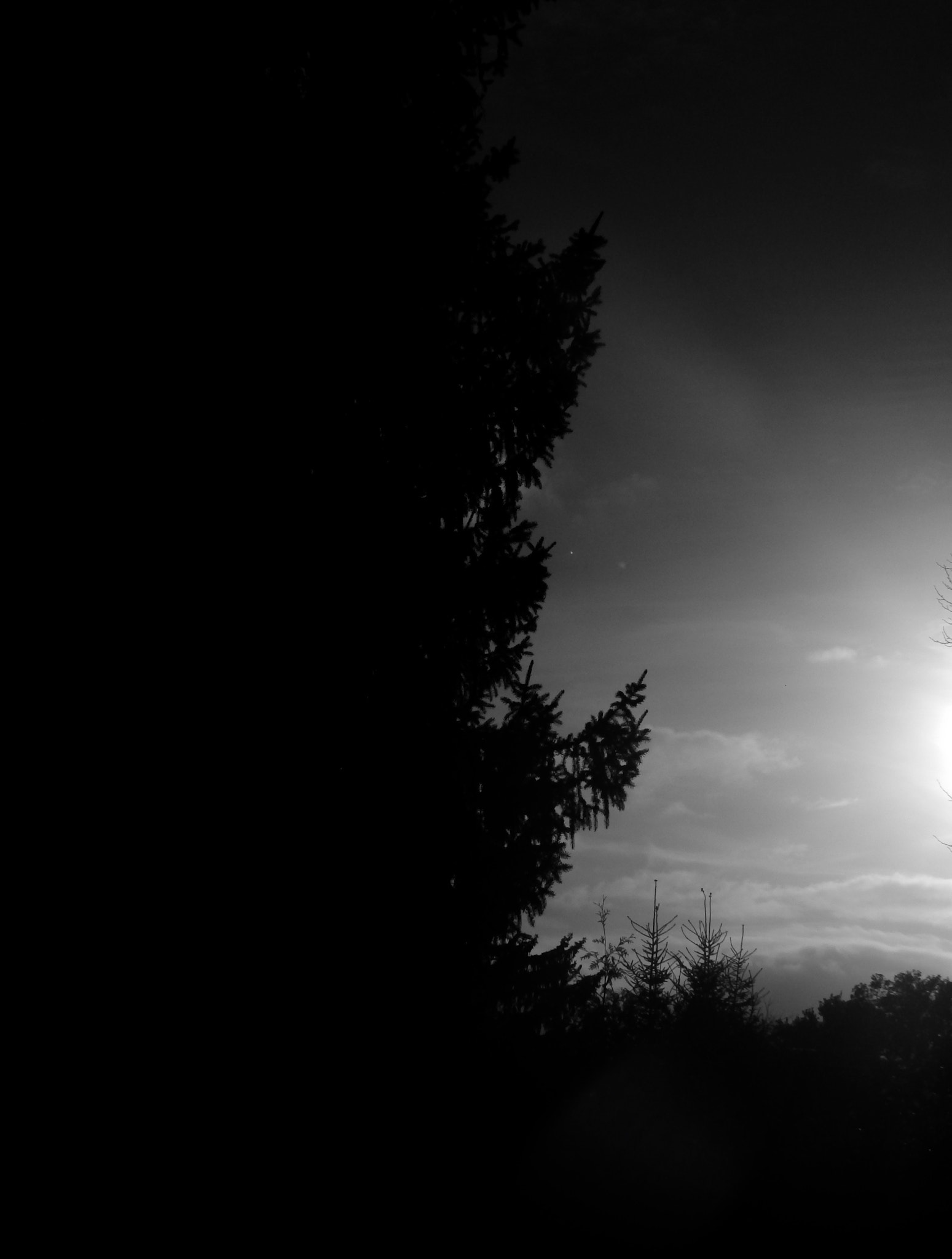 Olympus SZ-17 sample photo. Sun shadow photography