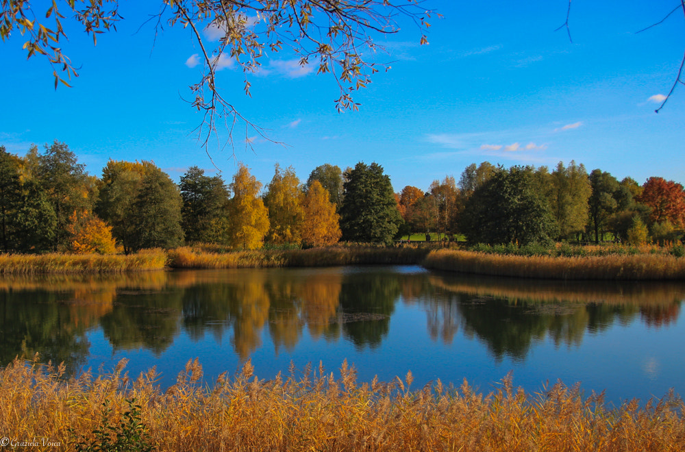 Canon EF-S 17-55mm F2.8 IS USM sample photo. Autumn photography