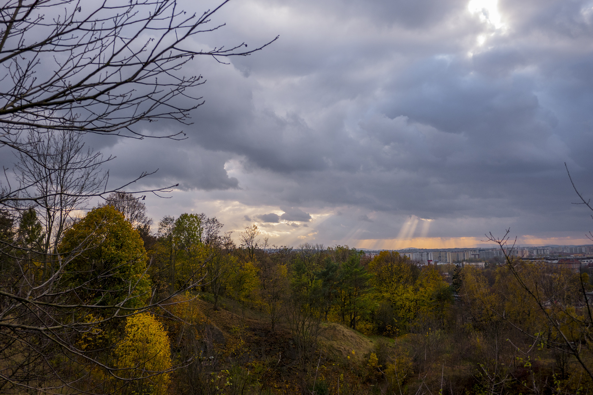 Panasonic Lumix DMC-GX7 + Panasonic Lumix G 14mm F2.5 ASPH sample photo. Cloudy autumn photography