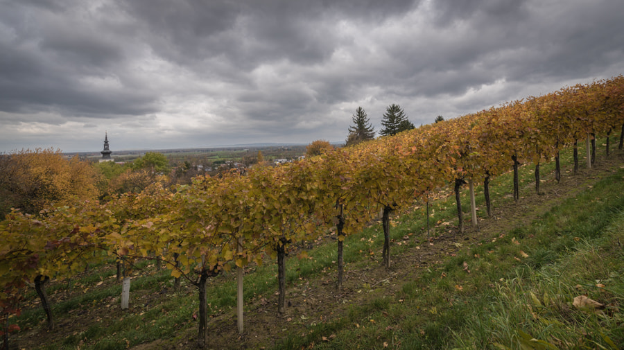 Sigma 12-24mm F4.5-5.6 II DG HSM sample photo. Church photography