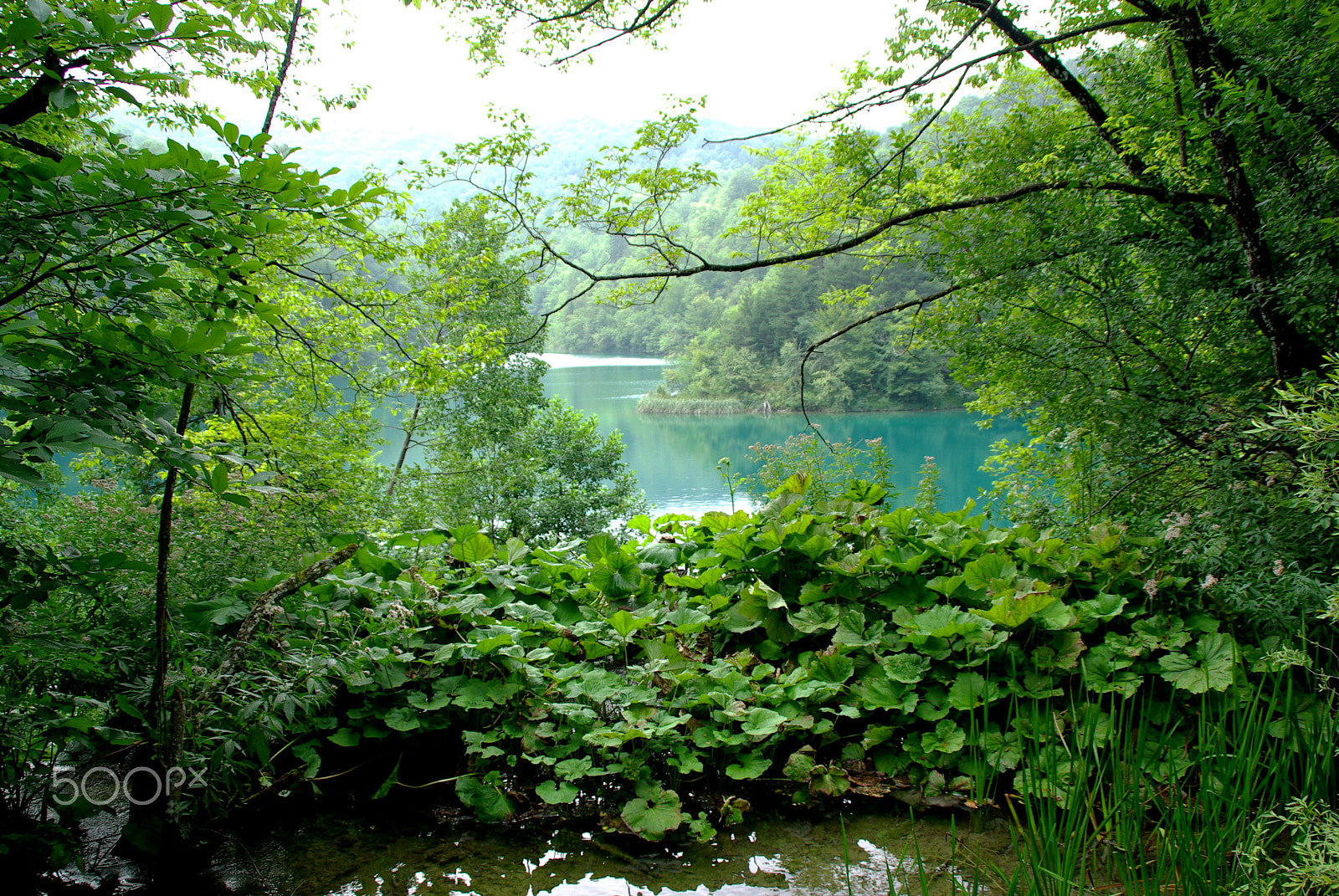 Tamron AF 18-200mm F3.5-6.3 XR Di II LD Aspherical (IF) Macro sample photo. Lake view photography