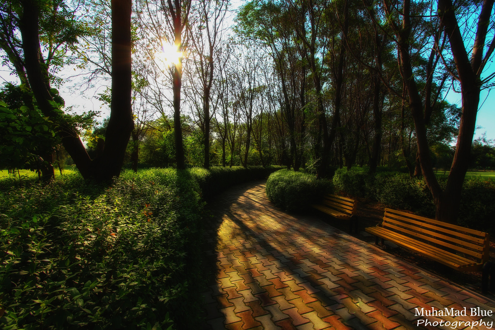 Canon EF-S 10-22mm F3.5-4.5 USM sample photo. Morning nature photography
