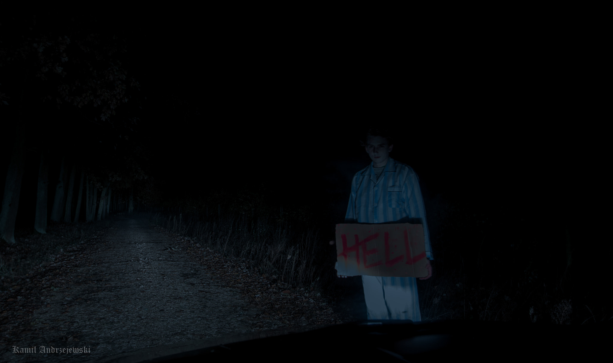 Canon EOS 760D (EOS Rebel T6s / EOS 8000D) sample photo. Psycho hitchhicking photography