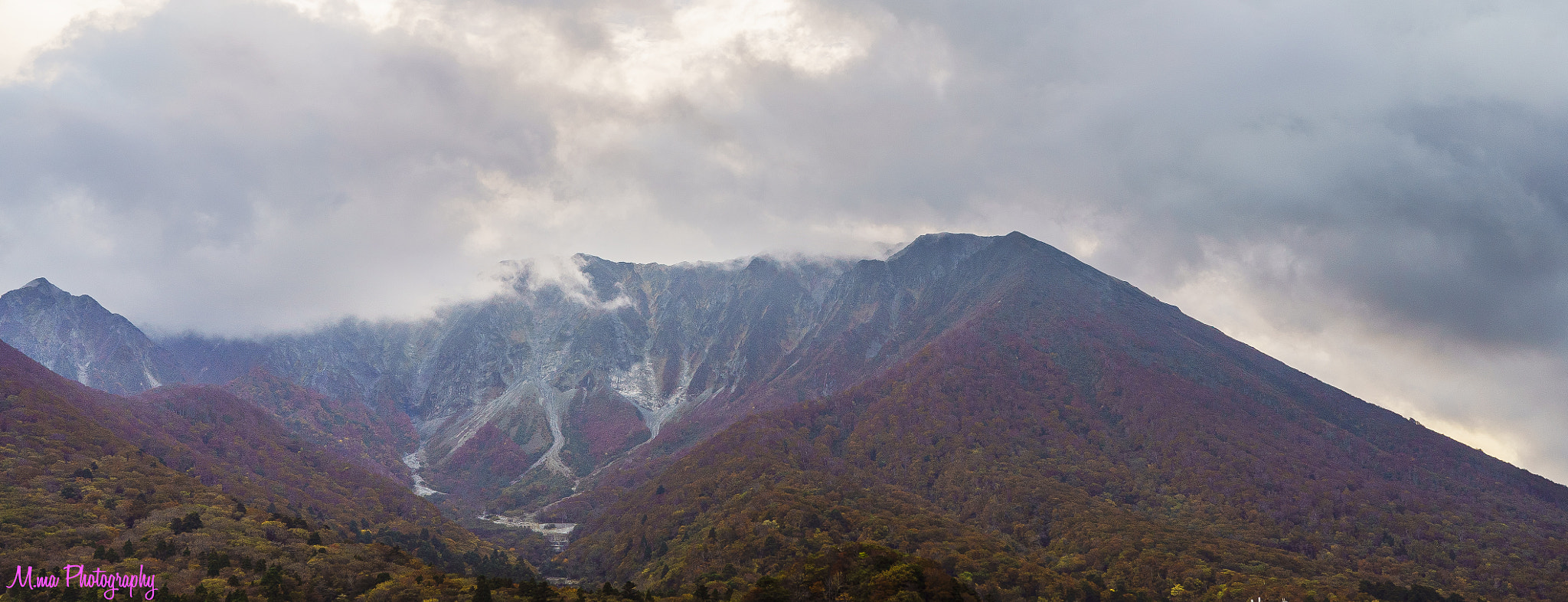 Sony a7S + Sony Distagon T* FE 35mm F1.4 ZA sample photo. Large yamakita wall of autumn leaves photography