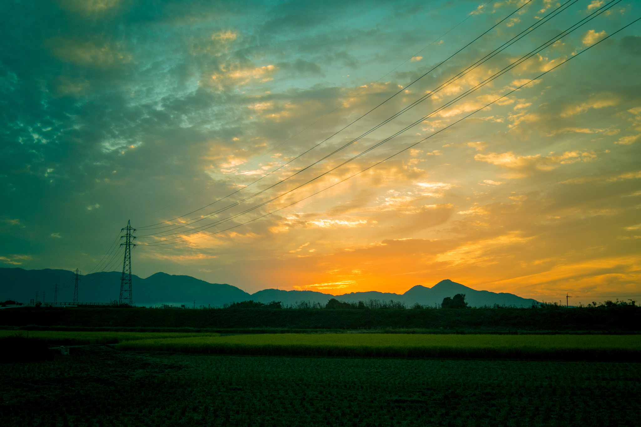 Pentax Q7 sample photo. Naranotanbo photography