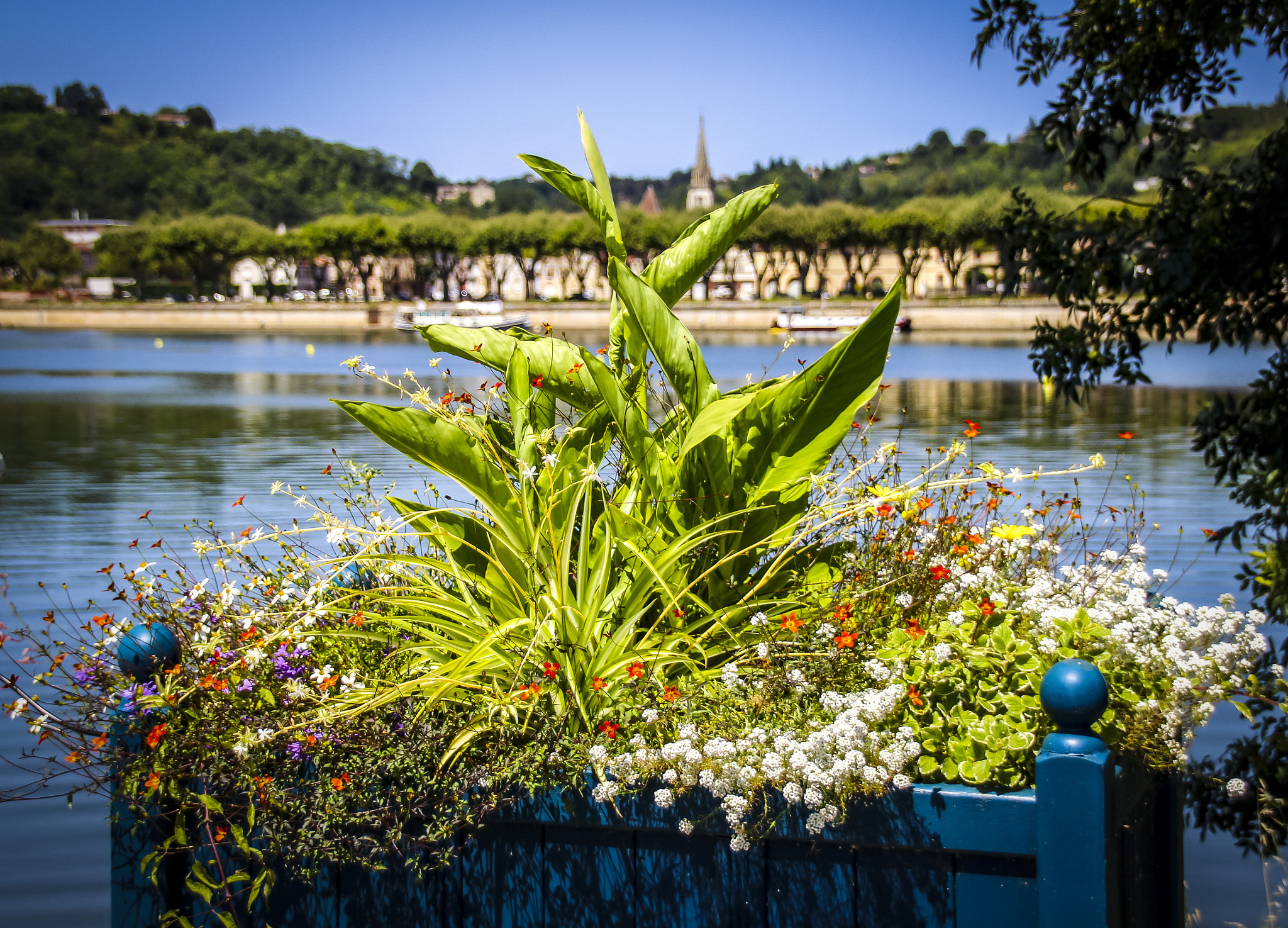 Sigma 18-250mm F3.5-6.3 DC OS HSM sample photo. Flower box on the river tarn photography