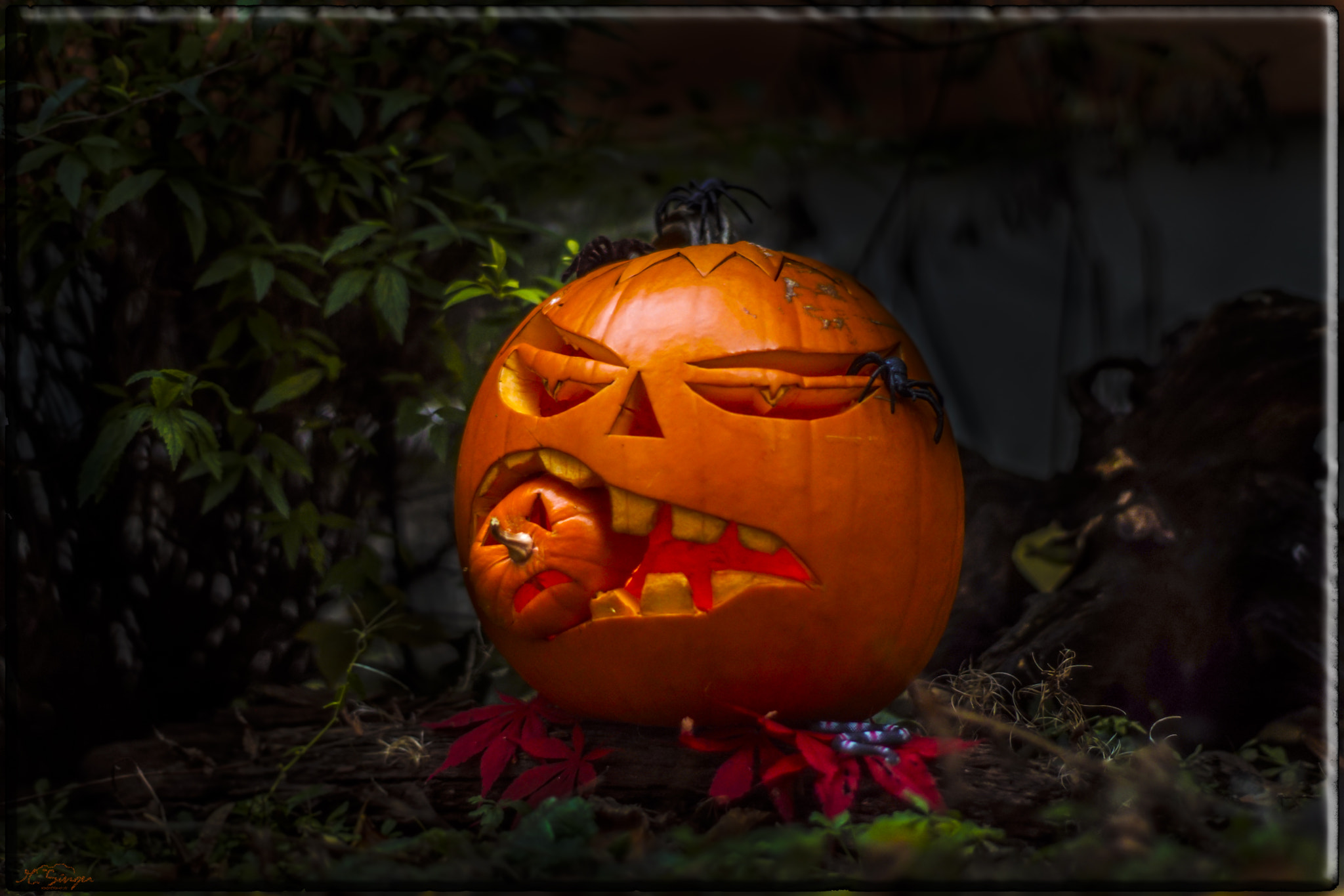 Sony SLT-A68 sample photo. Halloween pumpkin photography