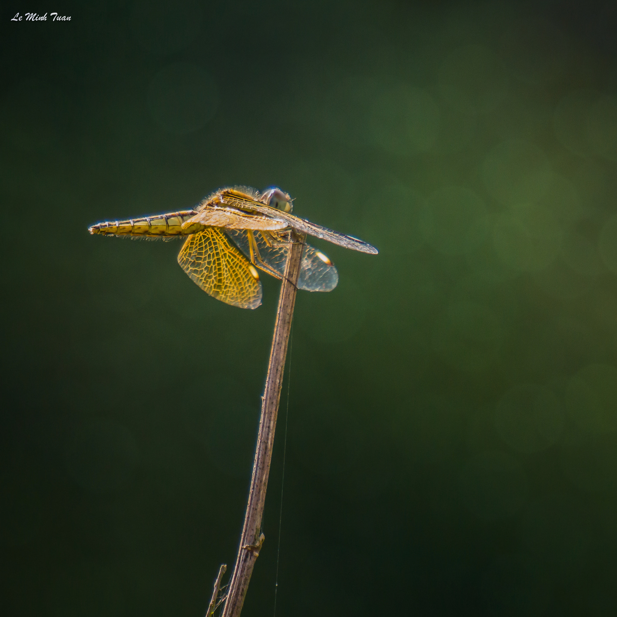Sony Alpha NEX-7 + Sony E 55-210mm F4.5-6.3 OSS sample photo. Under the sunset photography