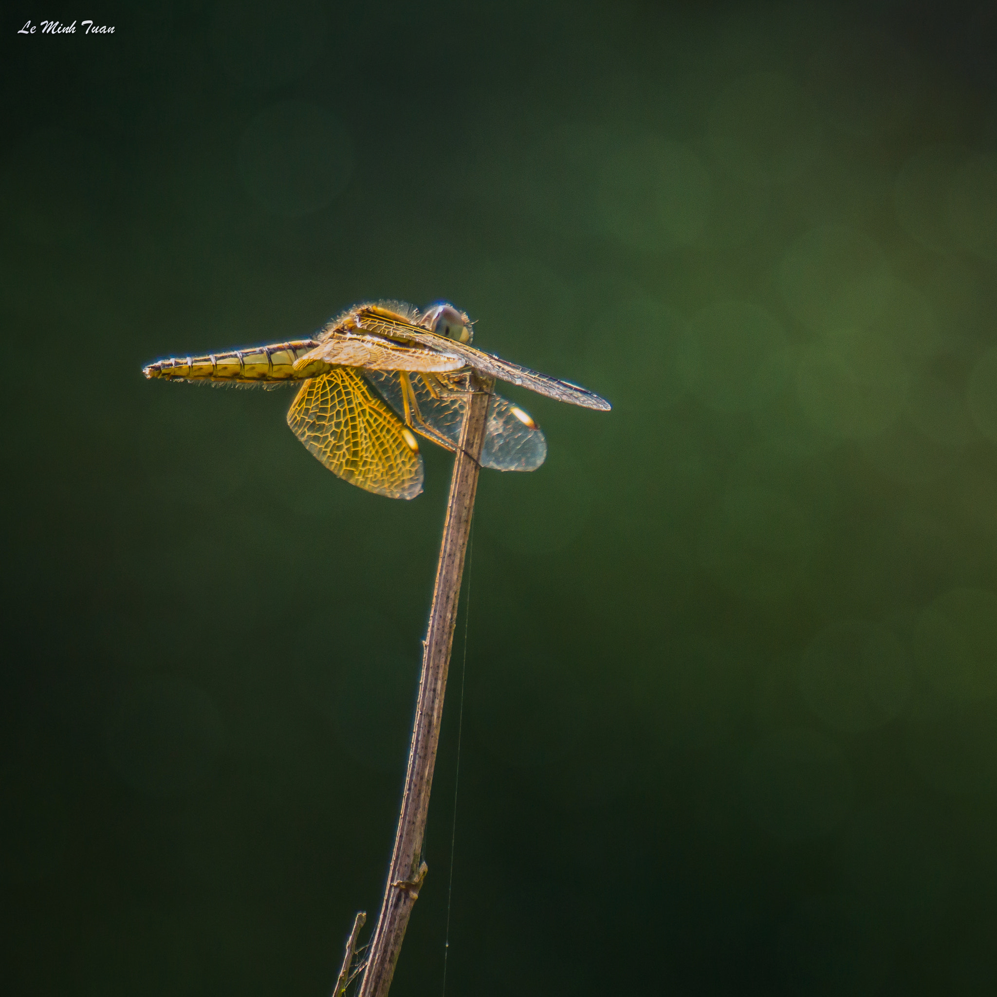 Sony Alpha NEX-7 sample photo. Under the sunset photography