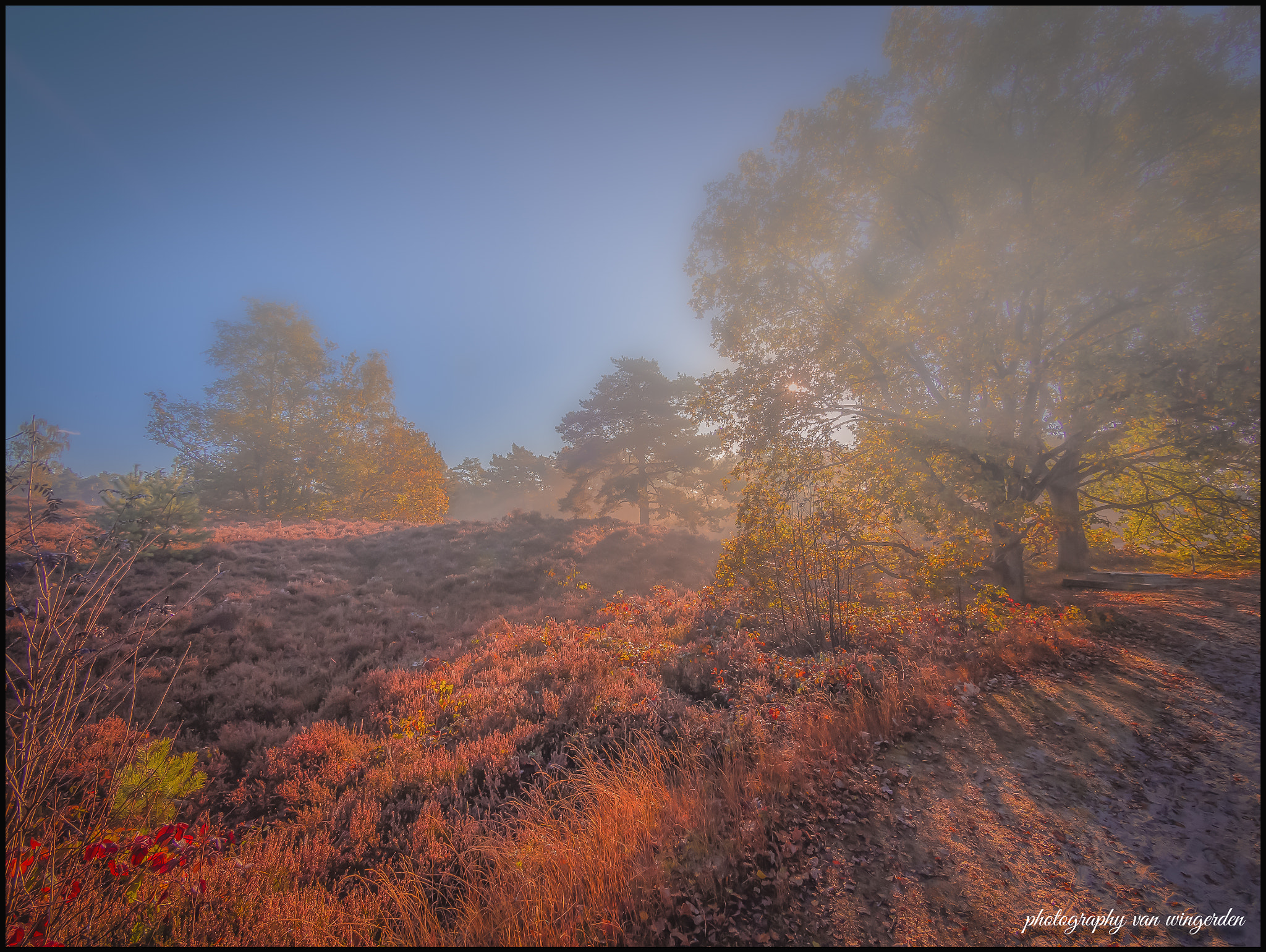 Olympus OM-D E-M10 II + Panasonic Lumix G Vario 7-14mm F4 ASPH sample photo. Misty morning photography