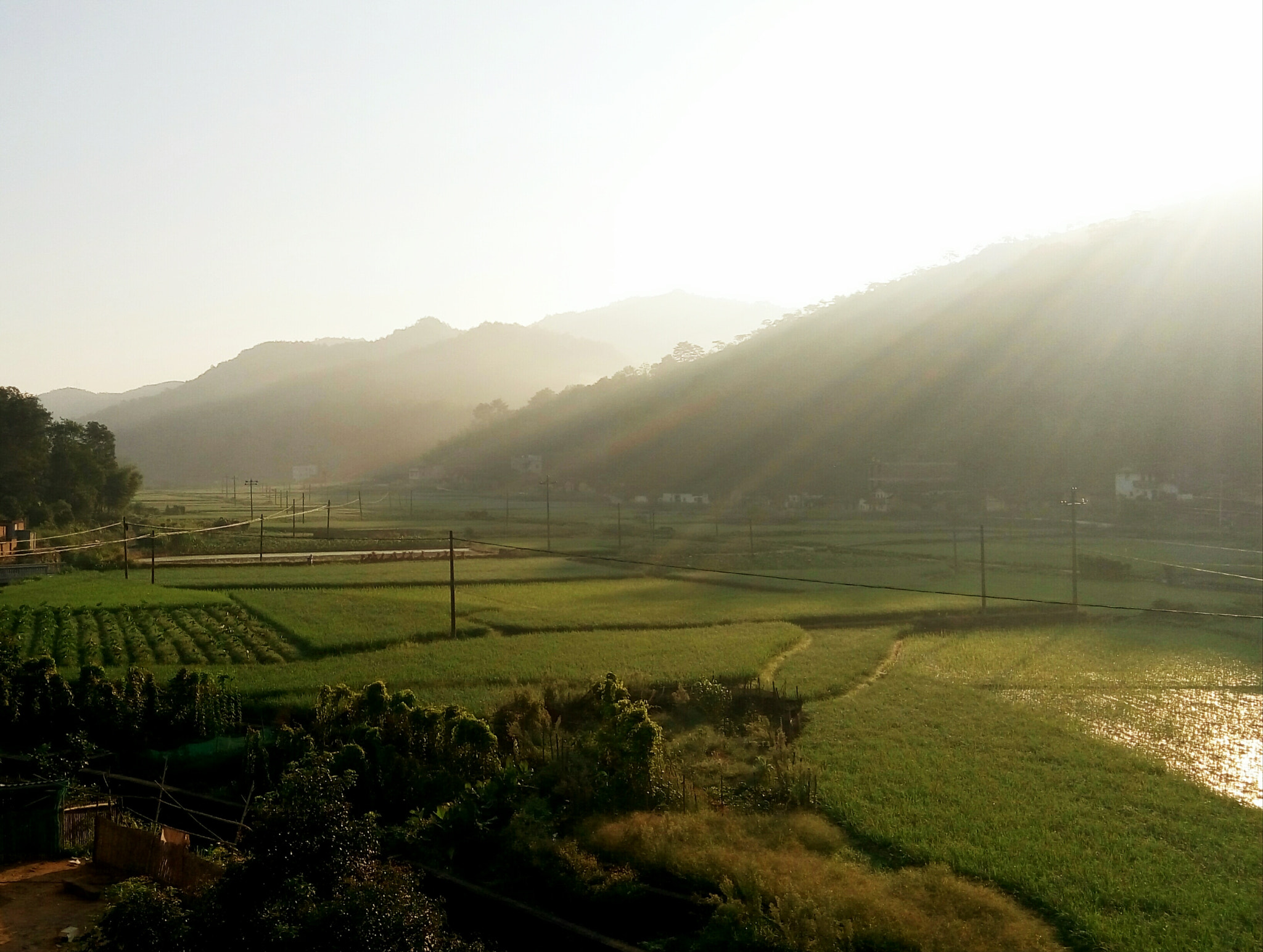 Meizu m1 note sample photo. Morning~ photography